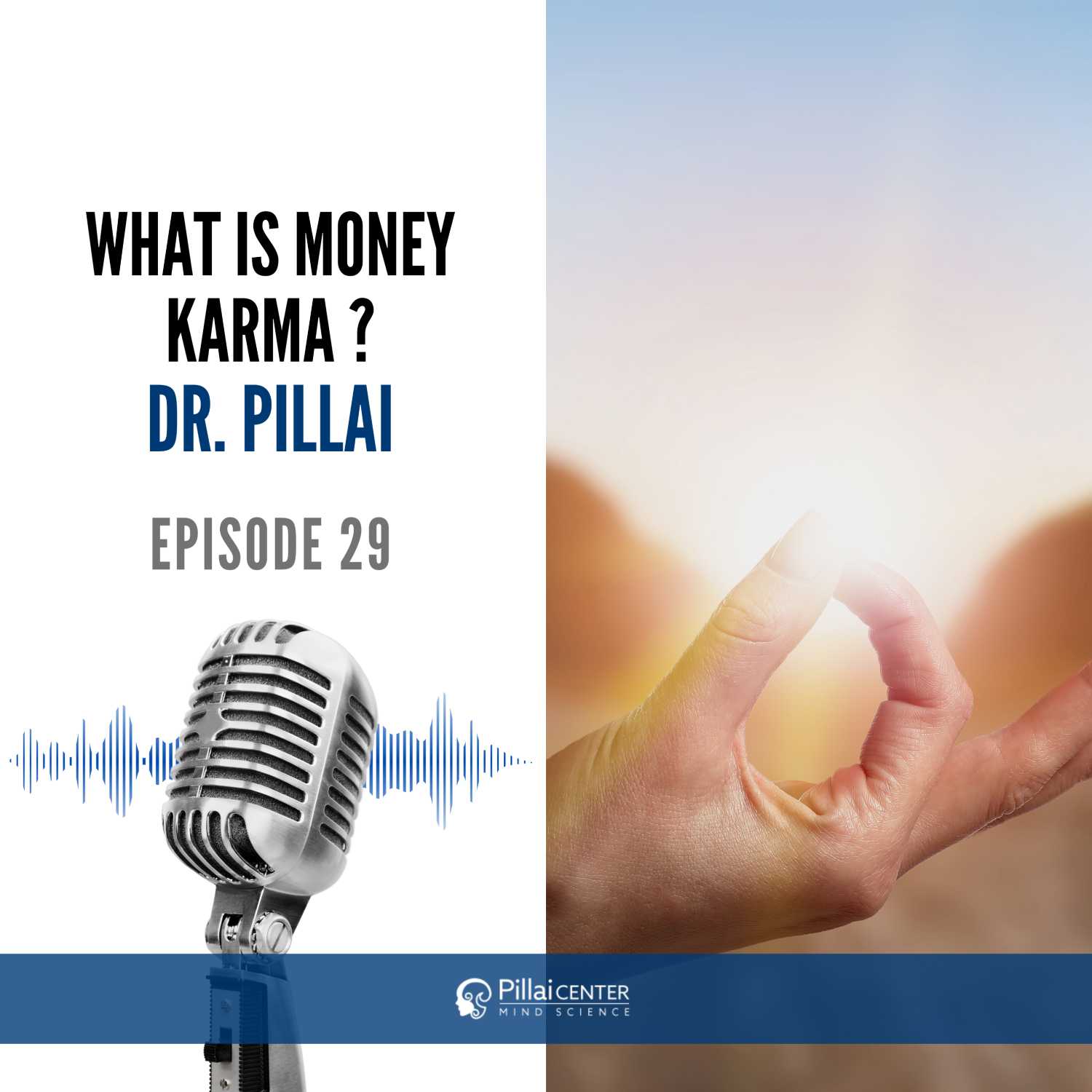 What Is Money Karma ? - Dr. Pillai