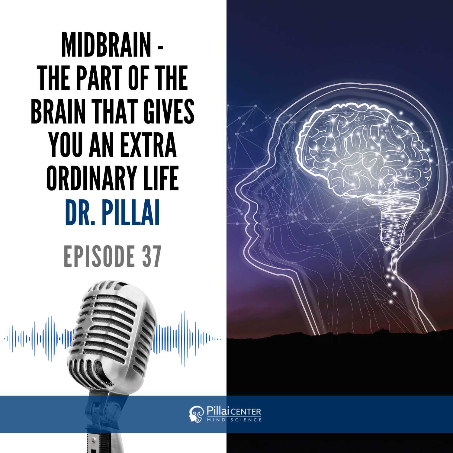 Mid Brain - The Part Of the Brain That Gives You An Extraordinary Life - Dr. Pillai 