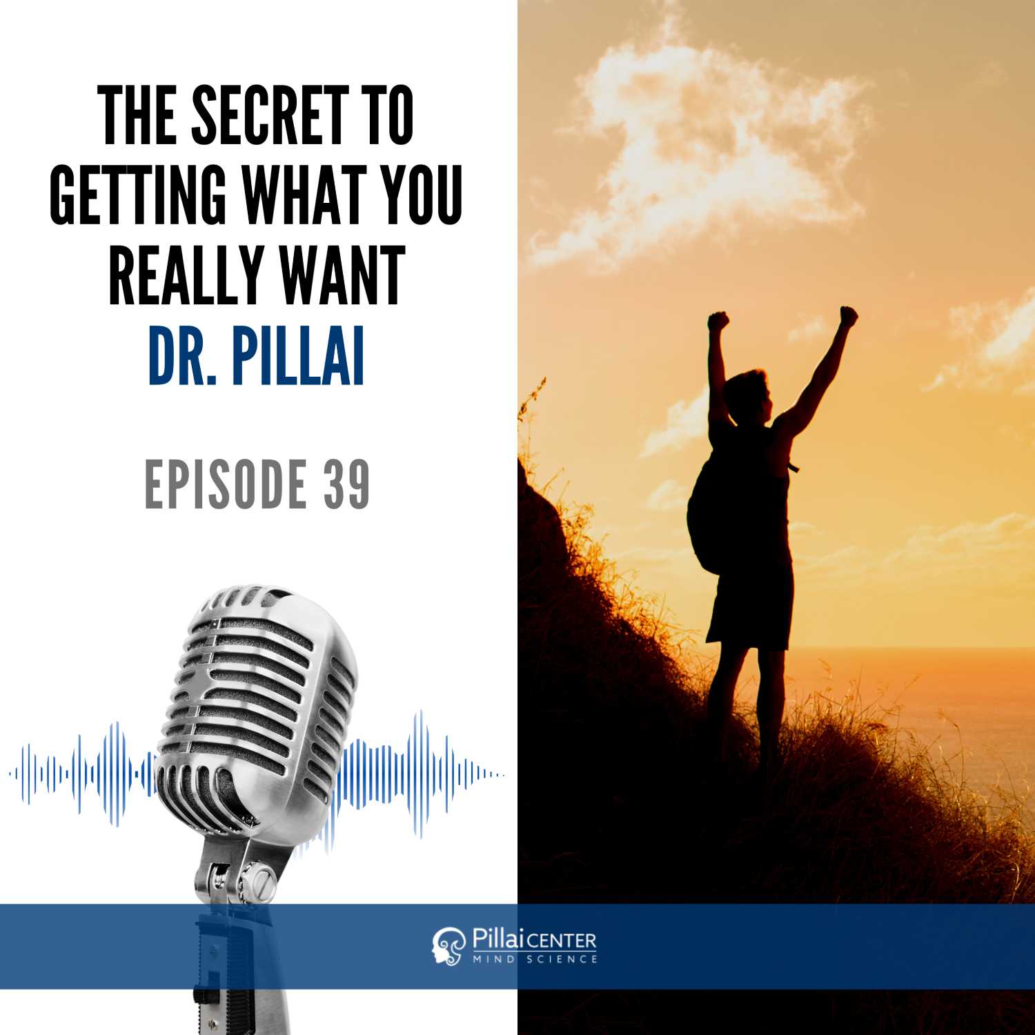 The Secret To Getting What You Really Want - Dr. Pillai