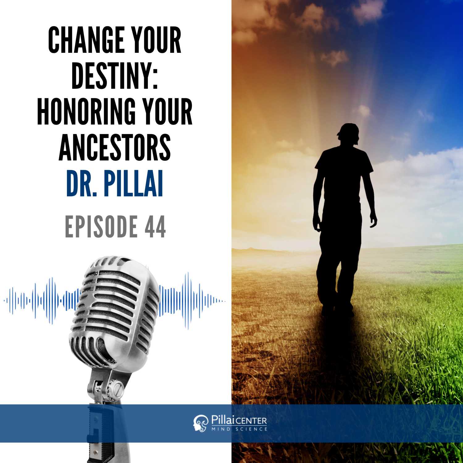 Change Your Destiny : Honoring Your Ancestors - Dr. Pillai