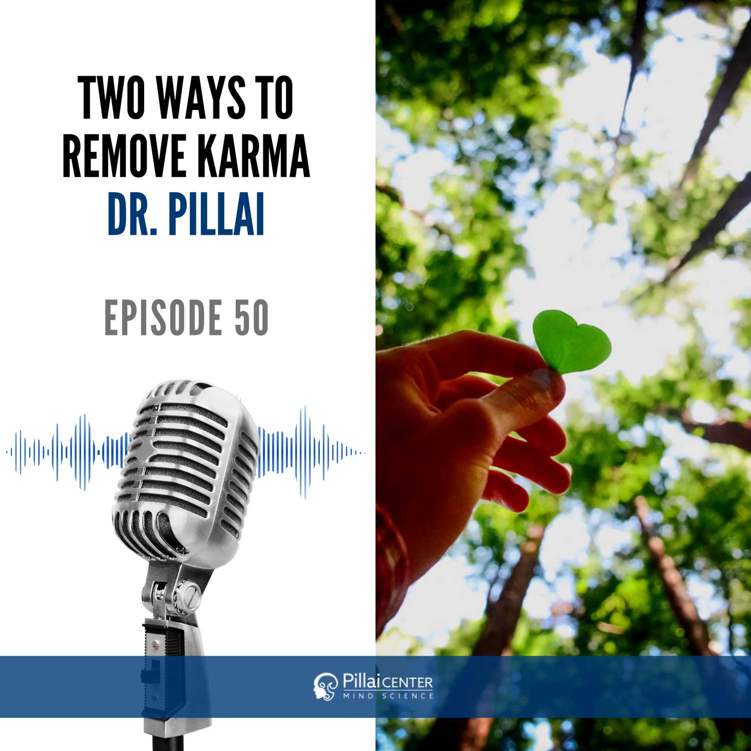 Two Ways To Remove Karma - Dr. Pillai