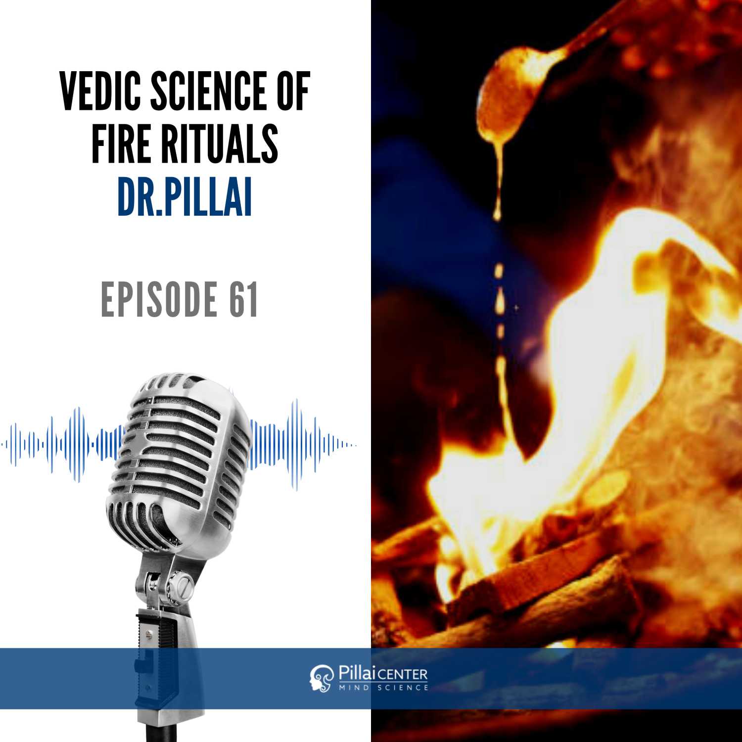 Vedic Science Of Fire Rituals - Dr. Pillai