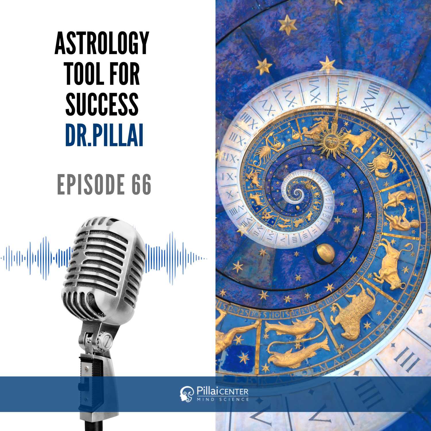 Astrology Tool for Success - Dr. Pillai