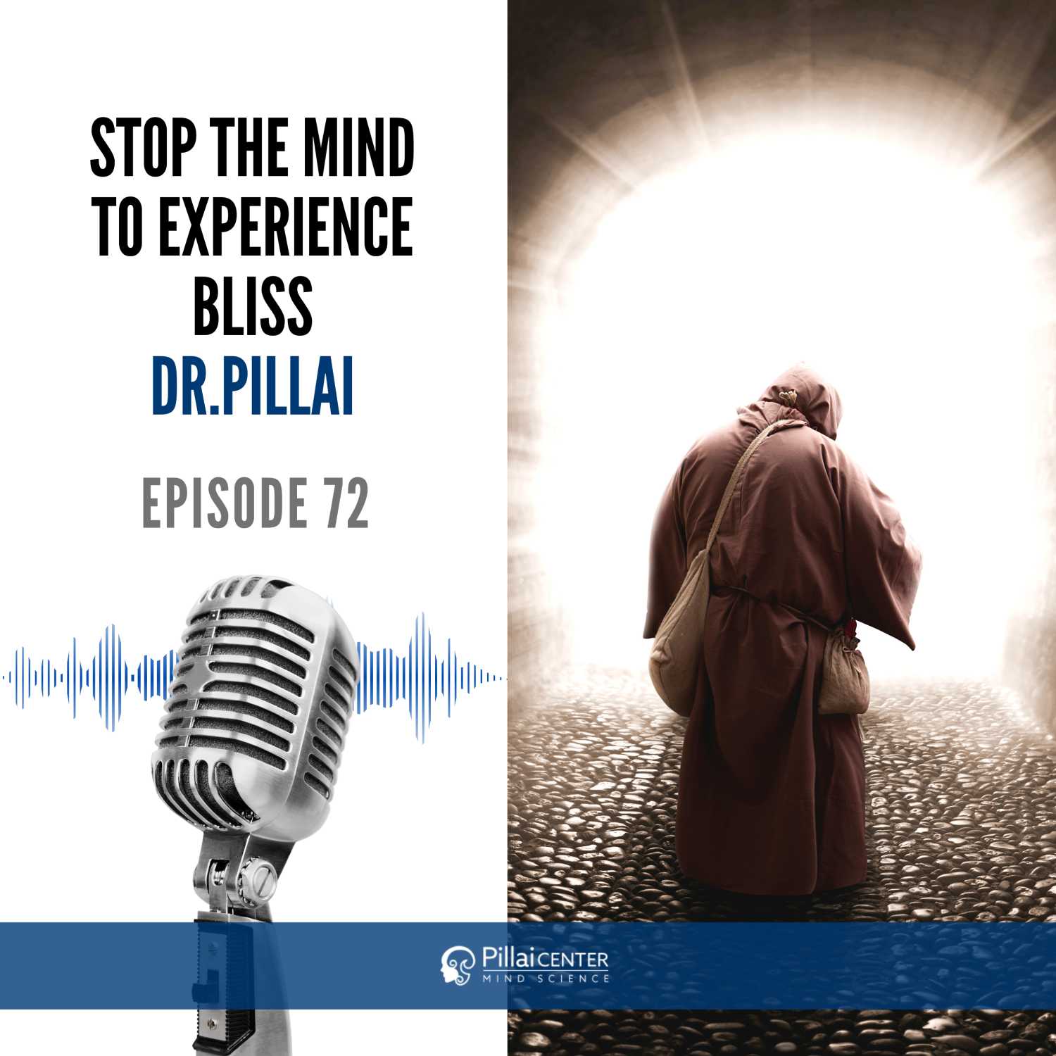 Stop the Mind to Experience Bliss - Dr. Pillai