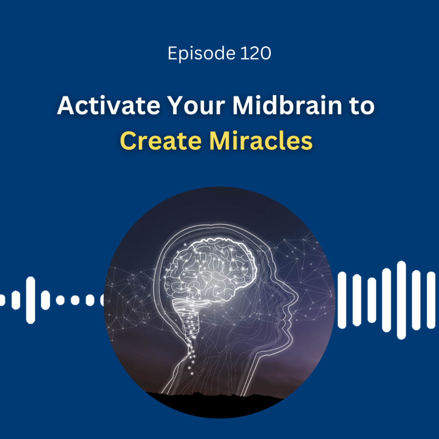 Activate Your Midbrain to Create Miracles - Dr. Pillai