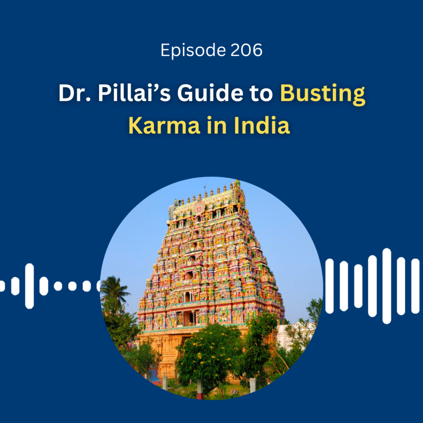 Dr. Pillai’s Guide to Busting Karma in India 