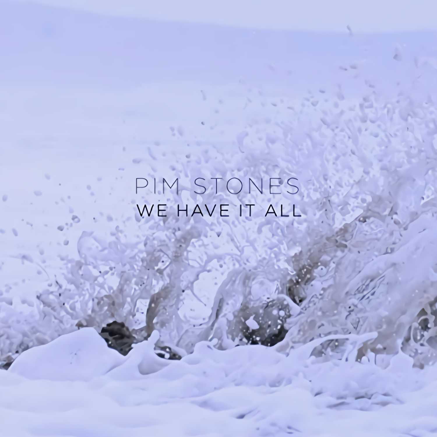 Pim Stones - The Life We Could Have Had