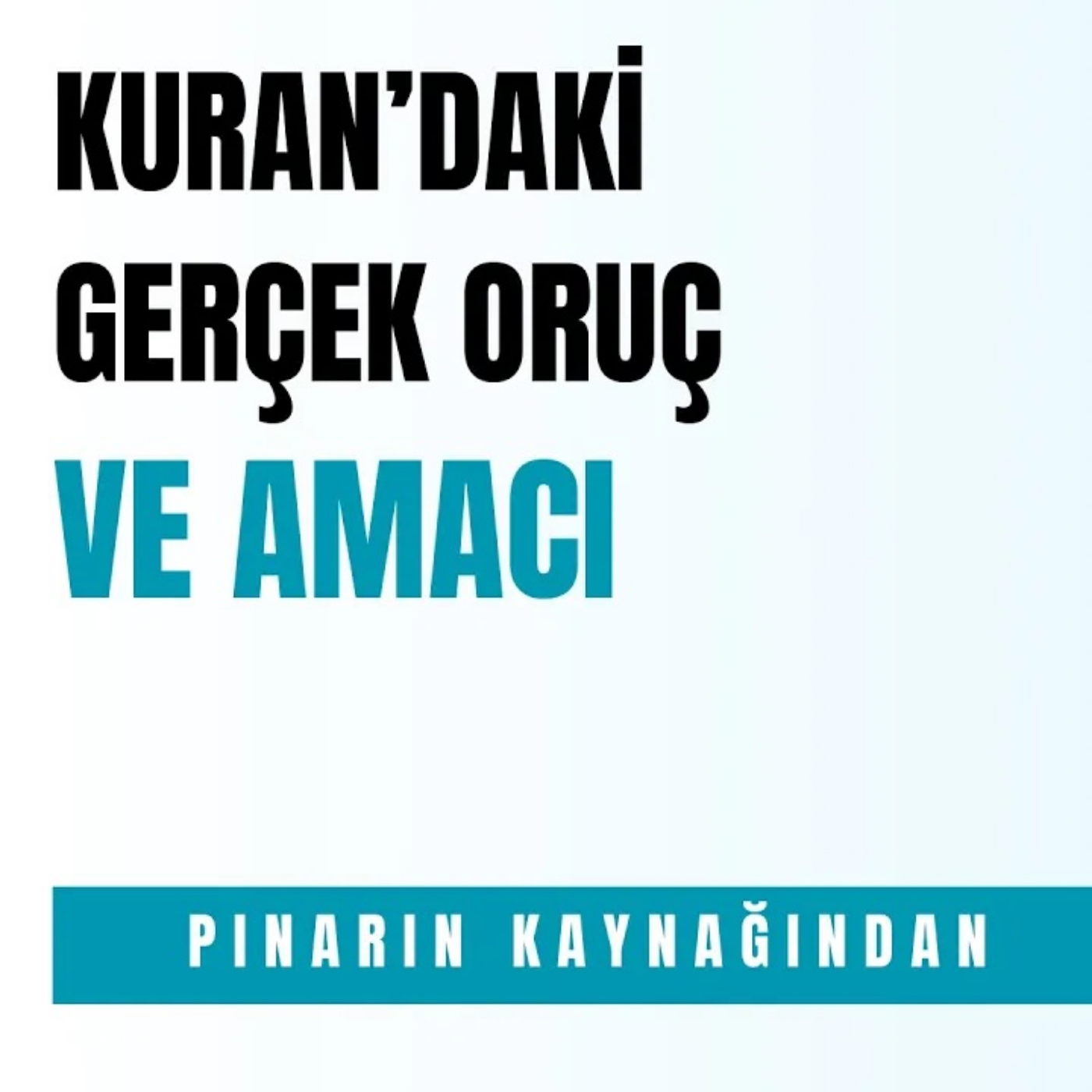 PINARIN KAYNAĞINDAN