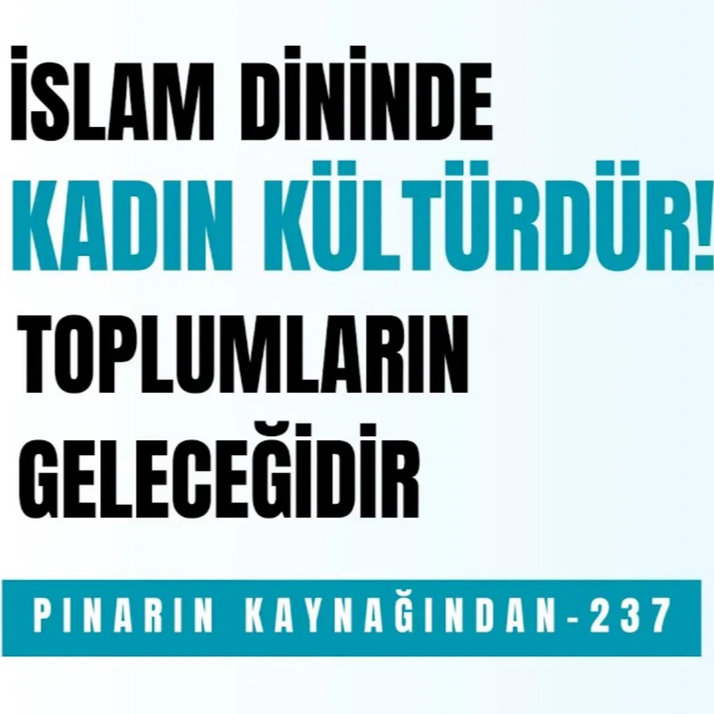 PINARIN KAYNAĞINDAN