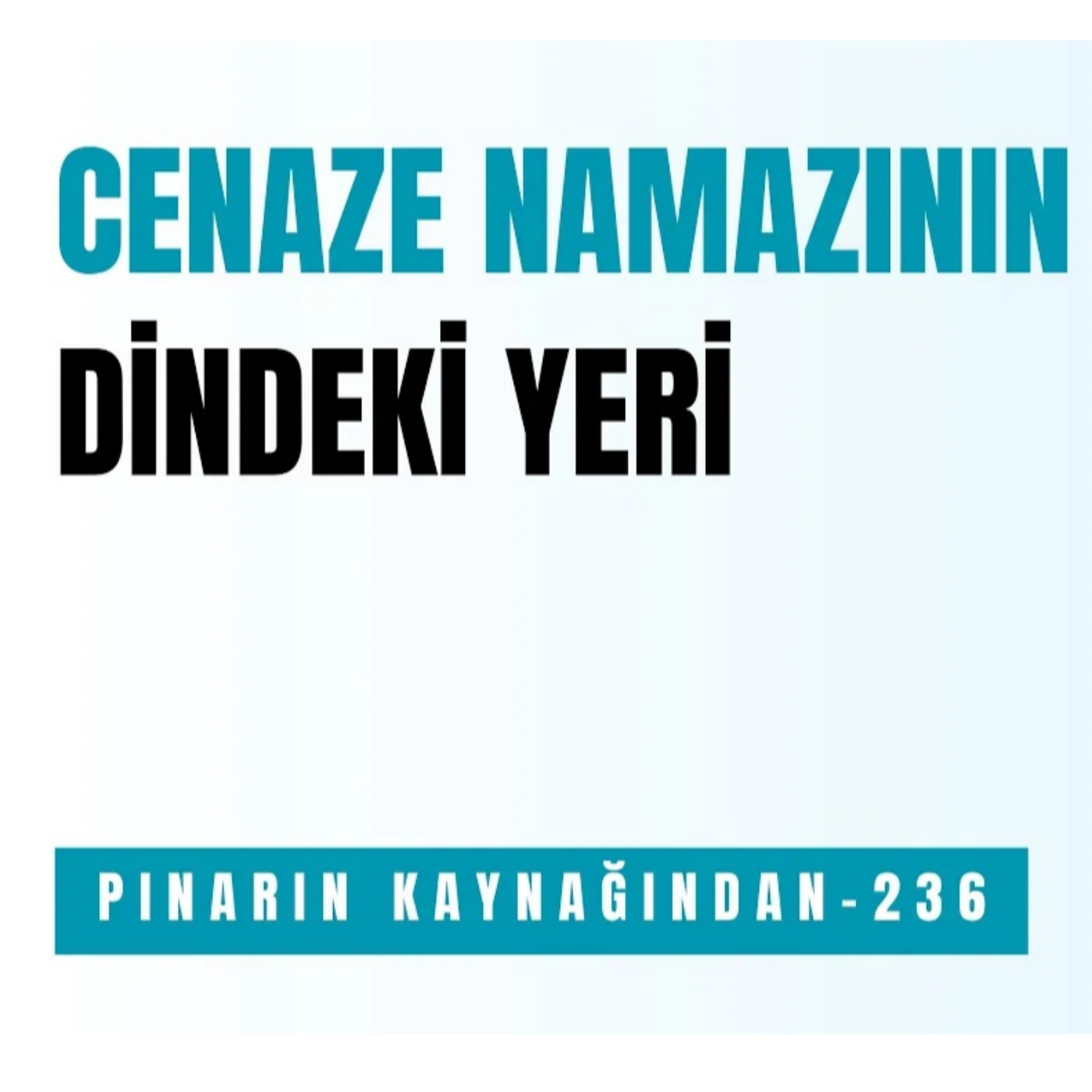 PINARIN KAYNAĞINDAN