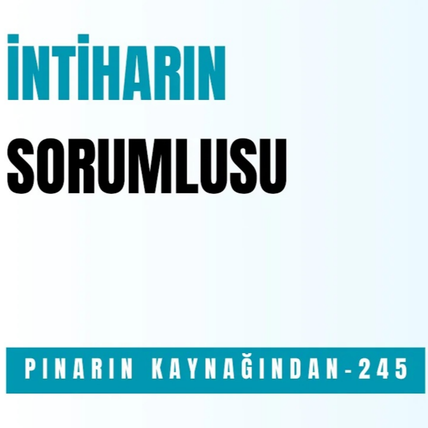 PINARIN KAYNAĞINDAN