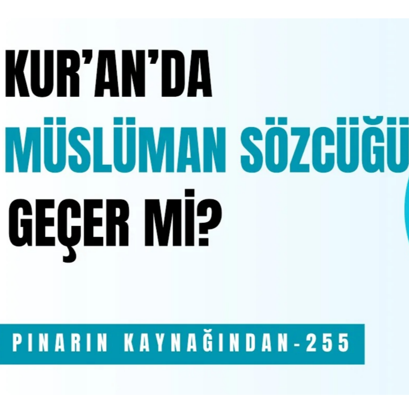 PINARIN KAYNAĞINDAN