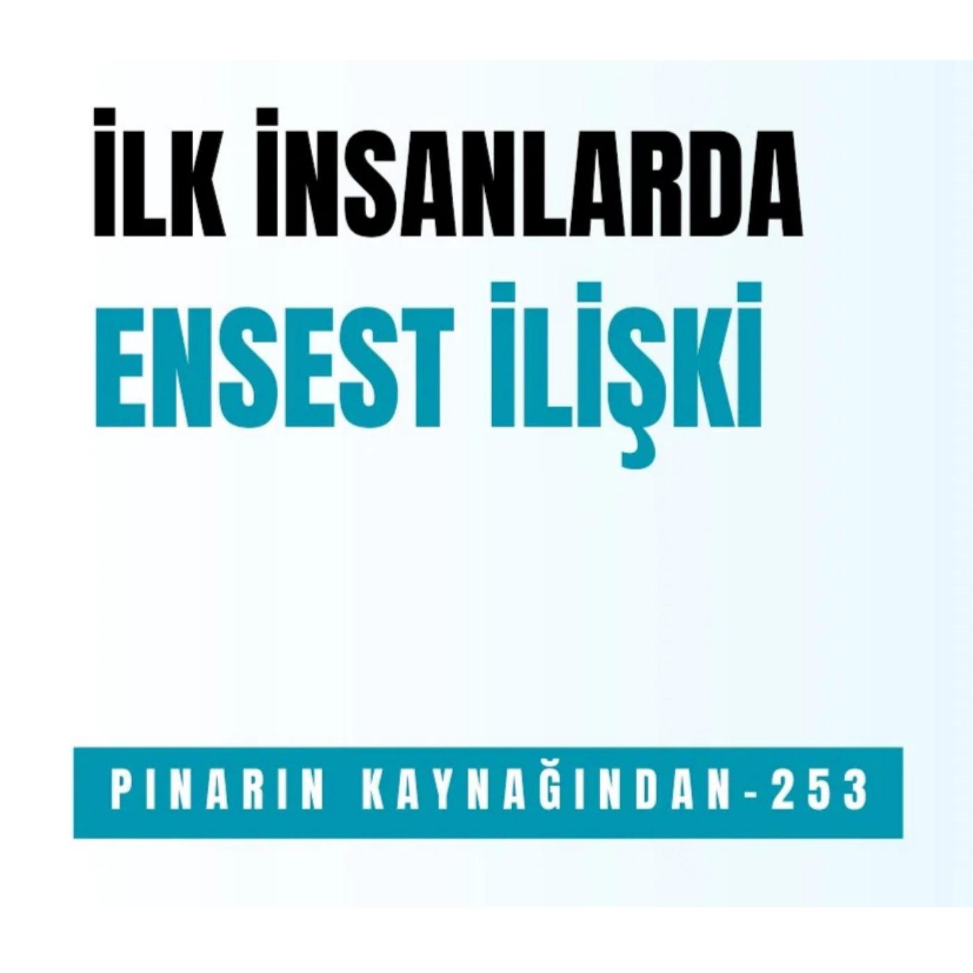 PINARIN KAYNAĞINDAN