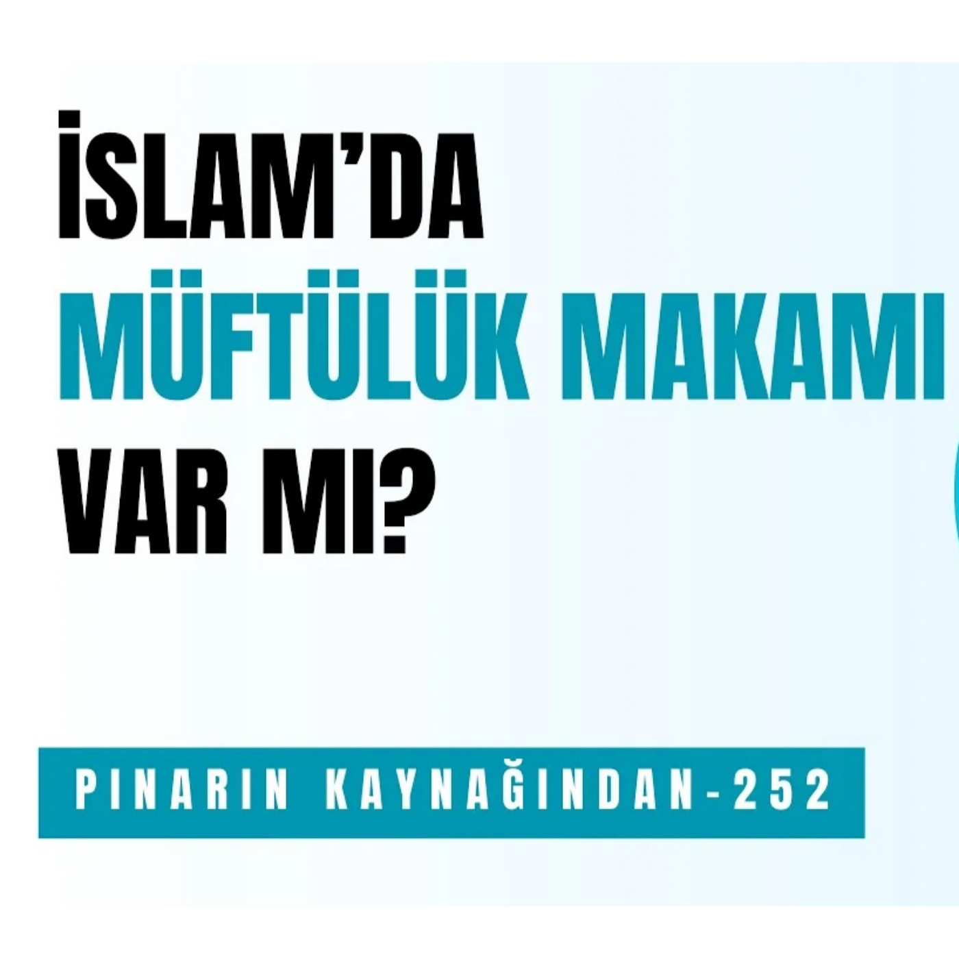 PINARIN KAYNAĞINDAN