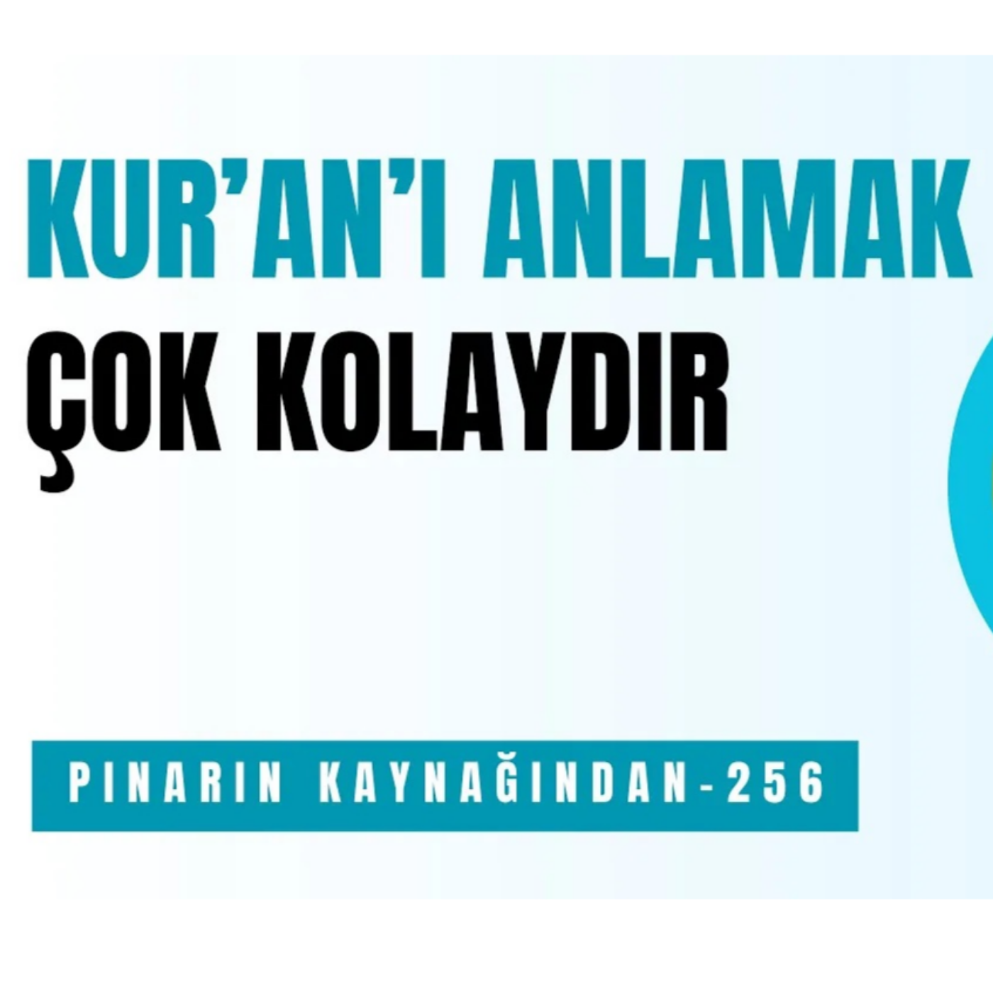 PINARIN KAYNAĞINDAN
