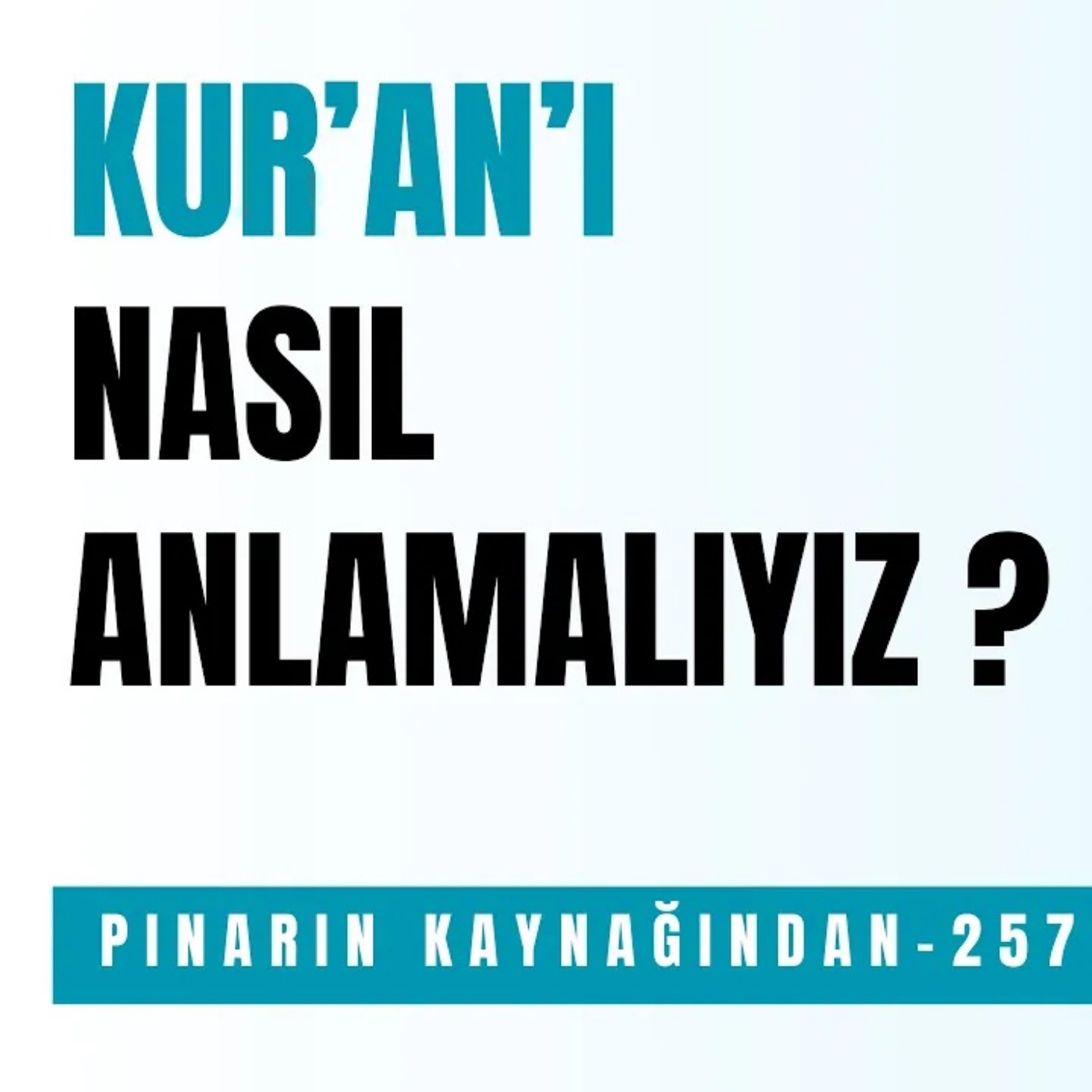 PINARIN KAYNAĞINDAN