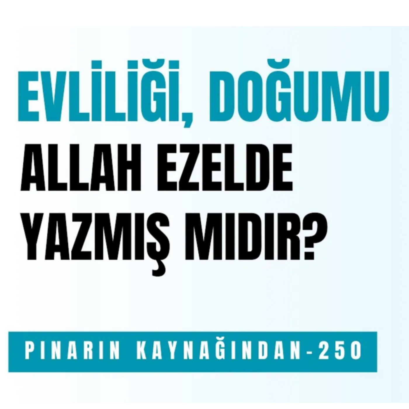 PINARIN KAYNAĞINDAN