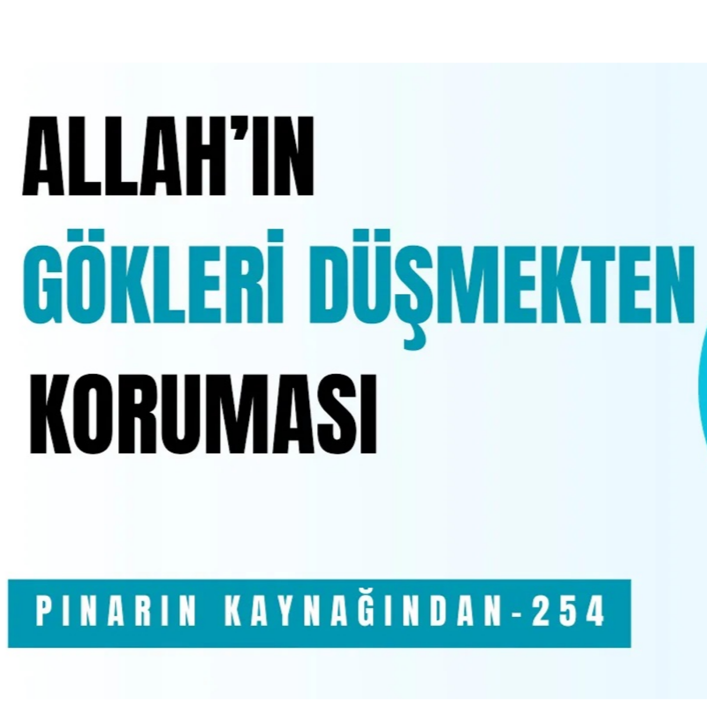 PINARIN KAYNAĞINDAN