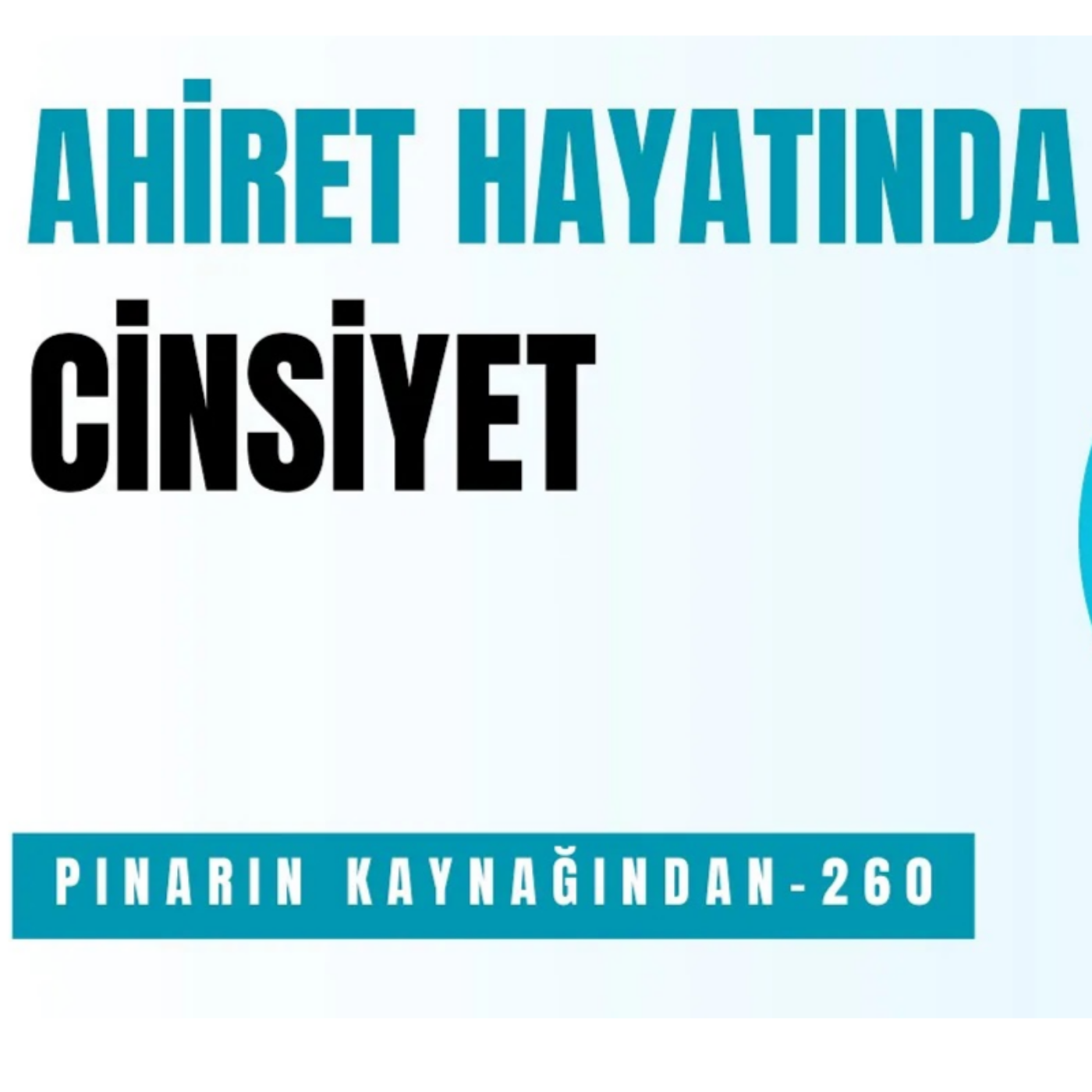 PINARIN KAYNAĞINDAN