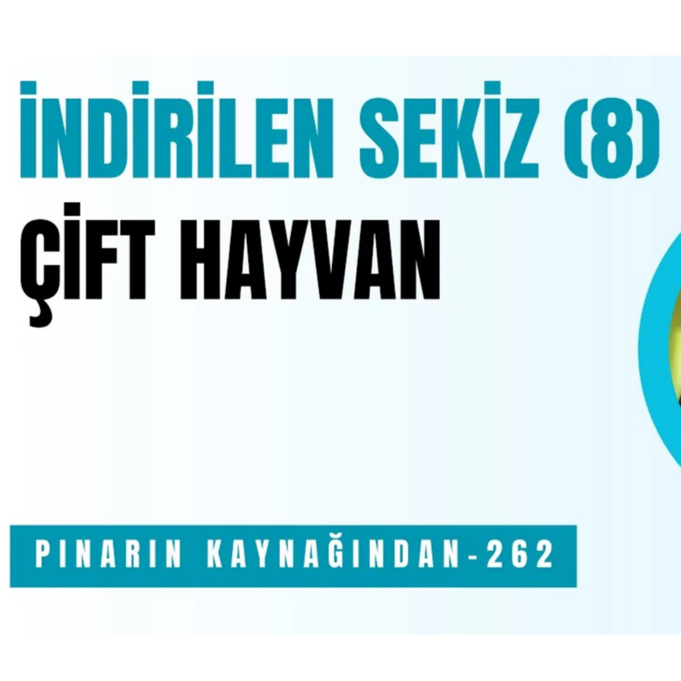 PINARIN KAYNAĞINDAN