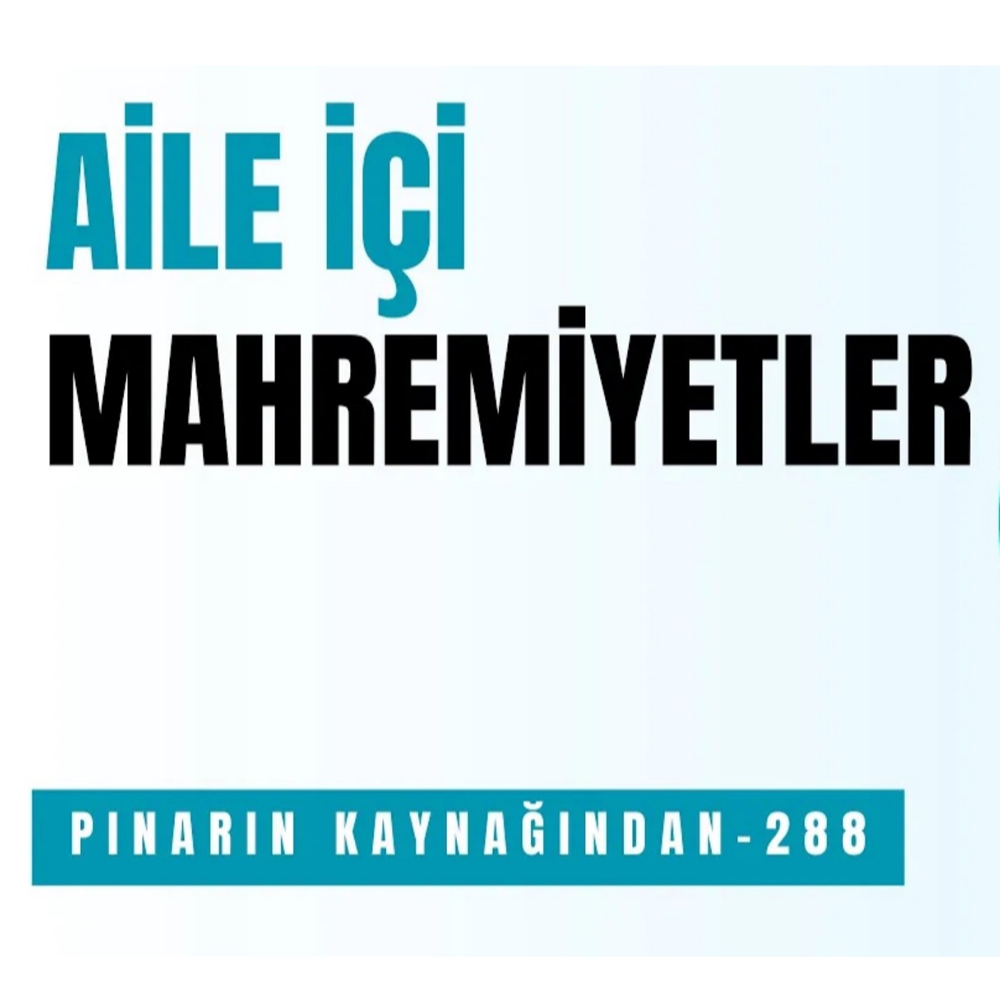 AİLE İÇİ MAHREMİYETLER episode artwork