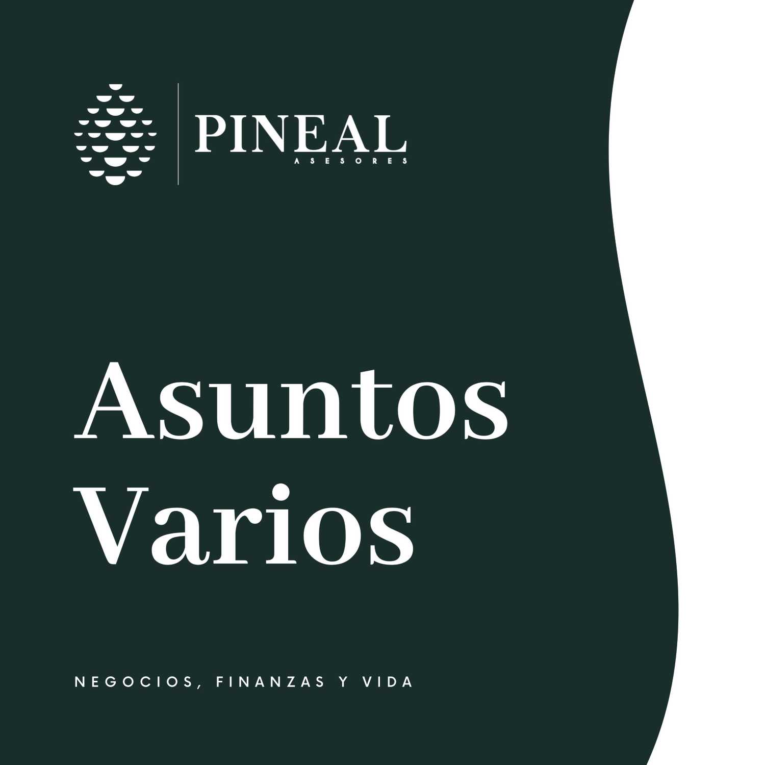 Asuntos Varios