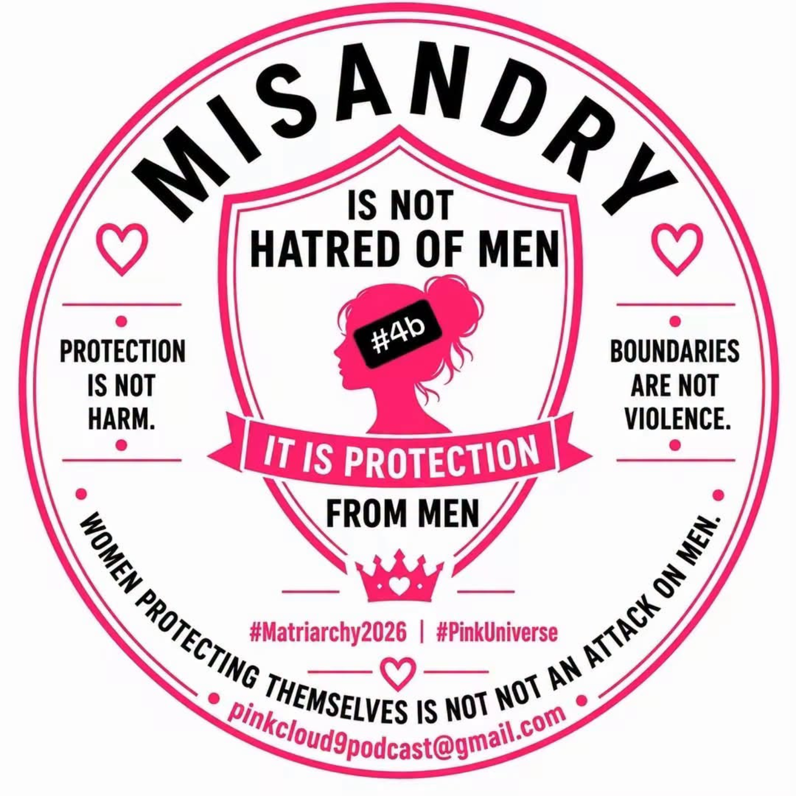 MisAndry is NOT h8ing men, its PROTECTION from men  episode artwork