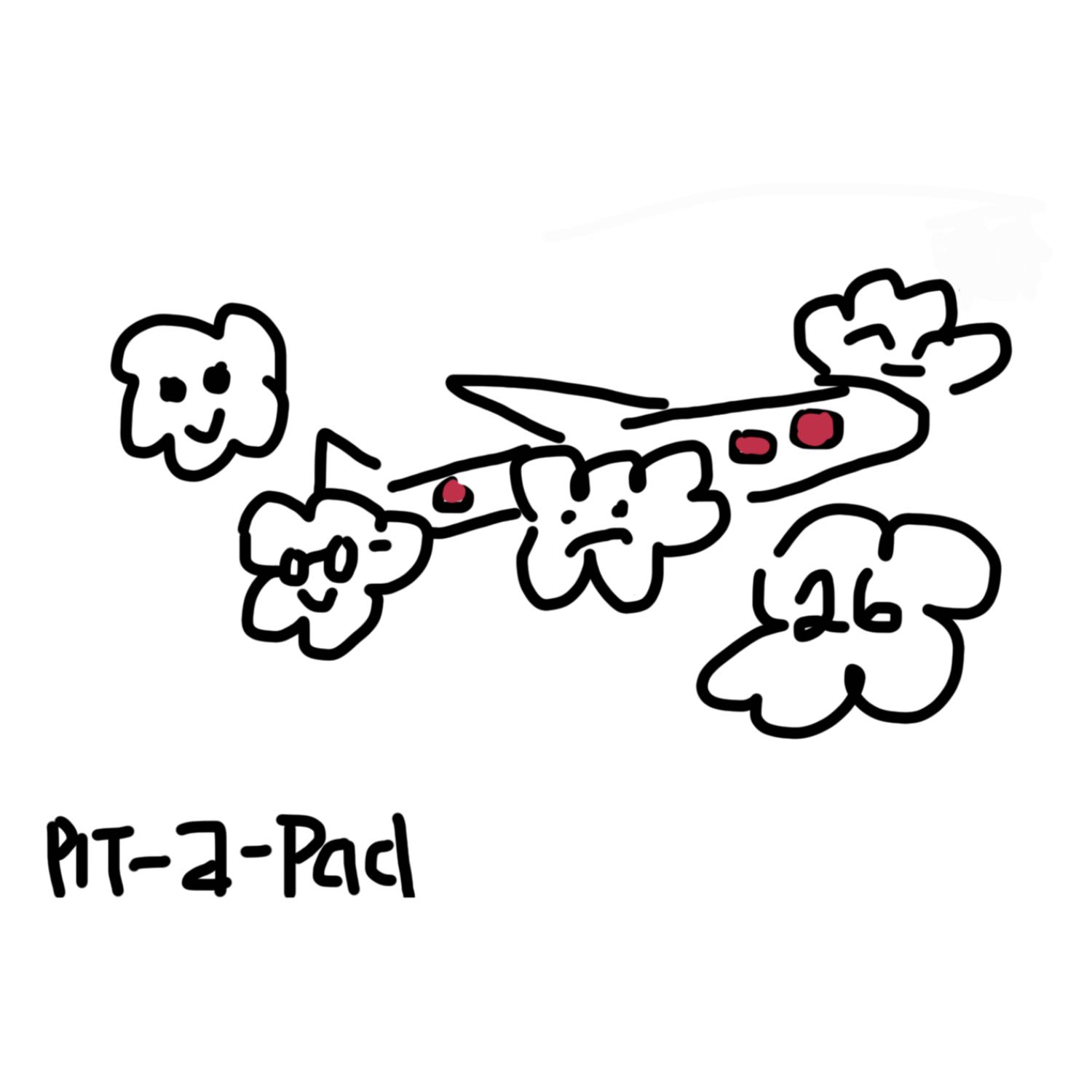 Pit a Pad