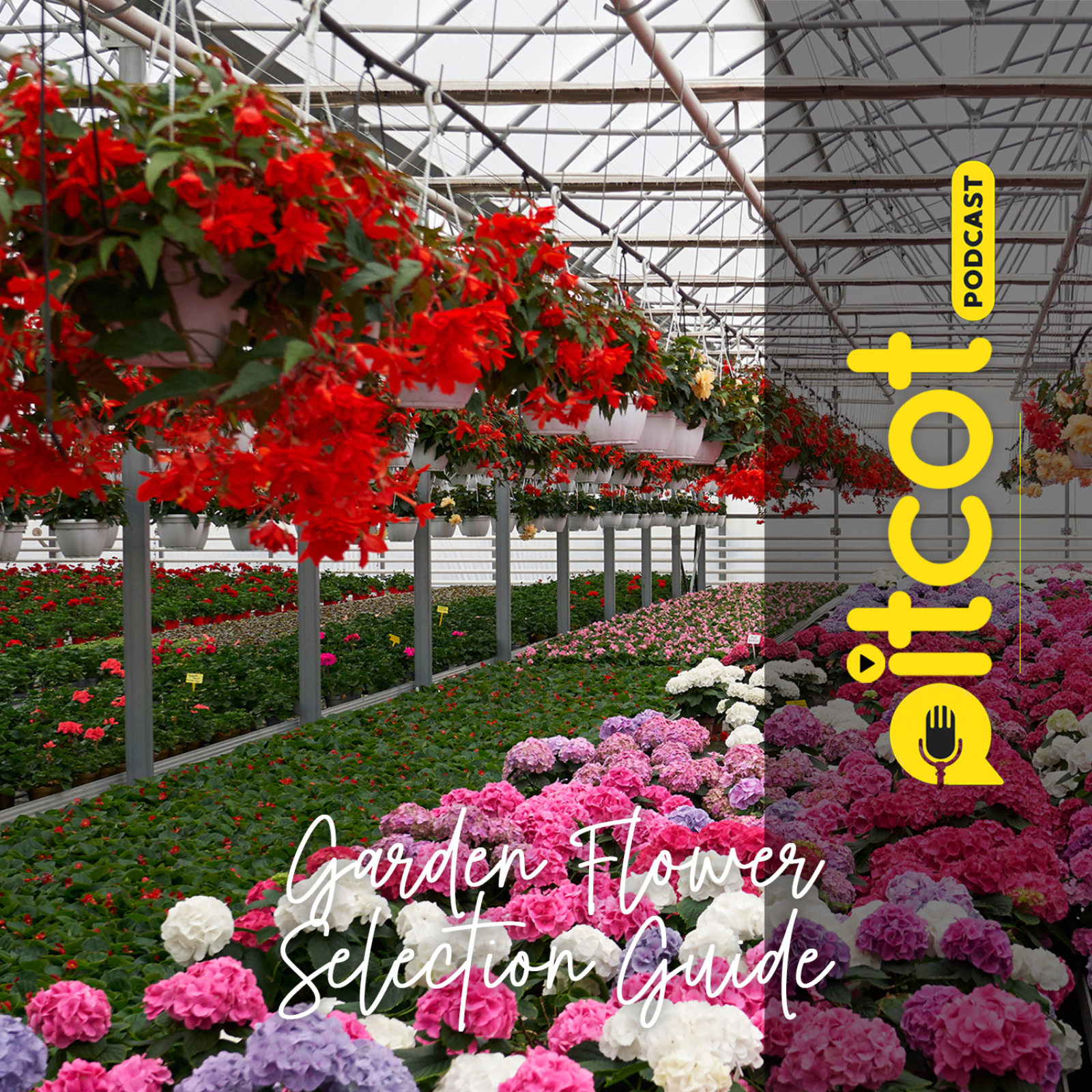 Mastering Garden Flower Selection: Your Complete Guide episode artwork