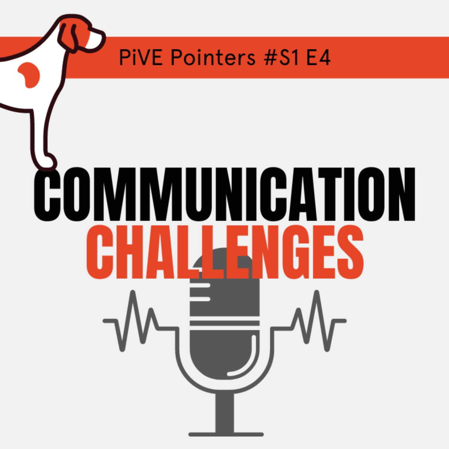 Communication Challenges and Ten Pin Bowling Syndrome - with Dr Sanaa Zaki