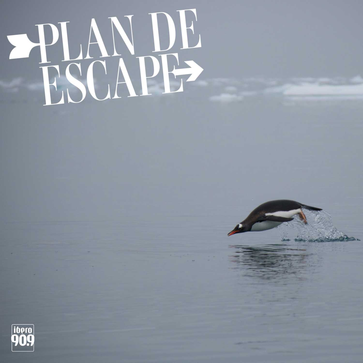 Plan de escape