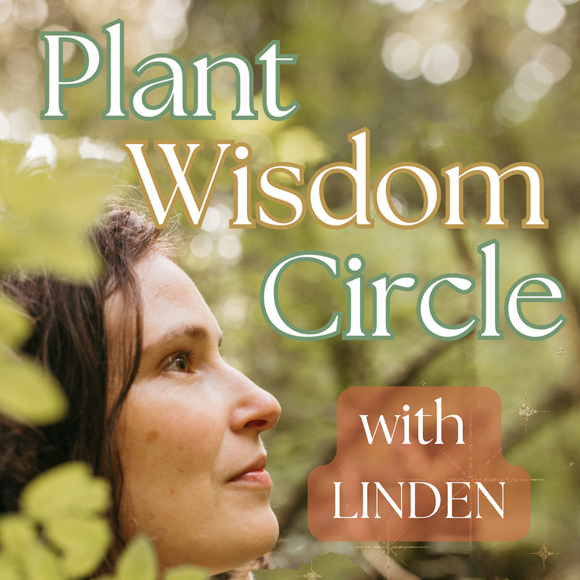 Artwork for The Plant Wisdom Circle