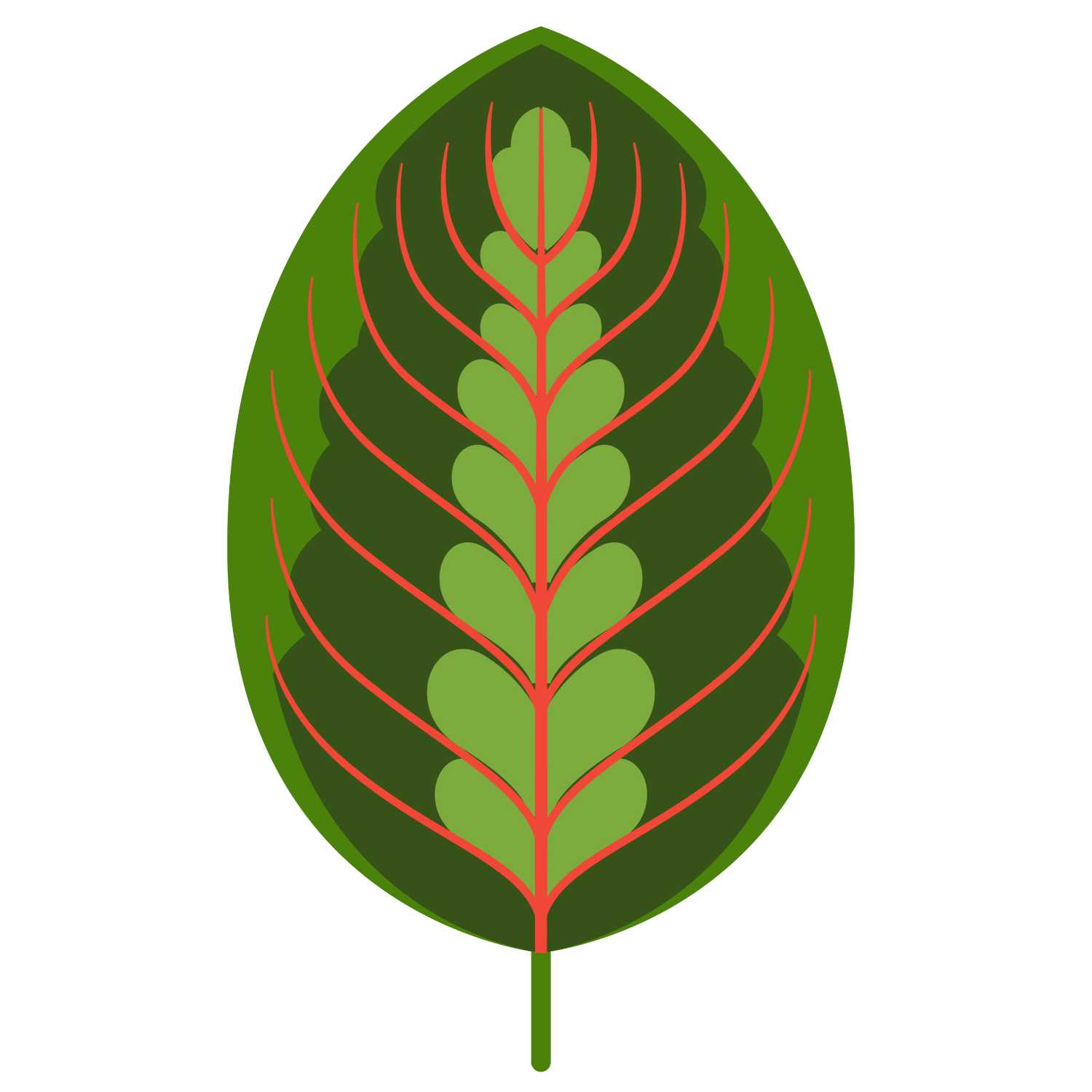 "Plantis" uma introdução