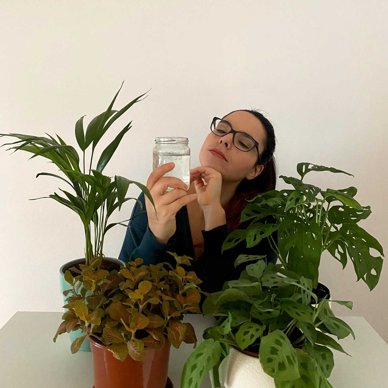 Como regar suculentas e outras plantas