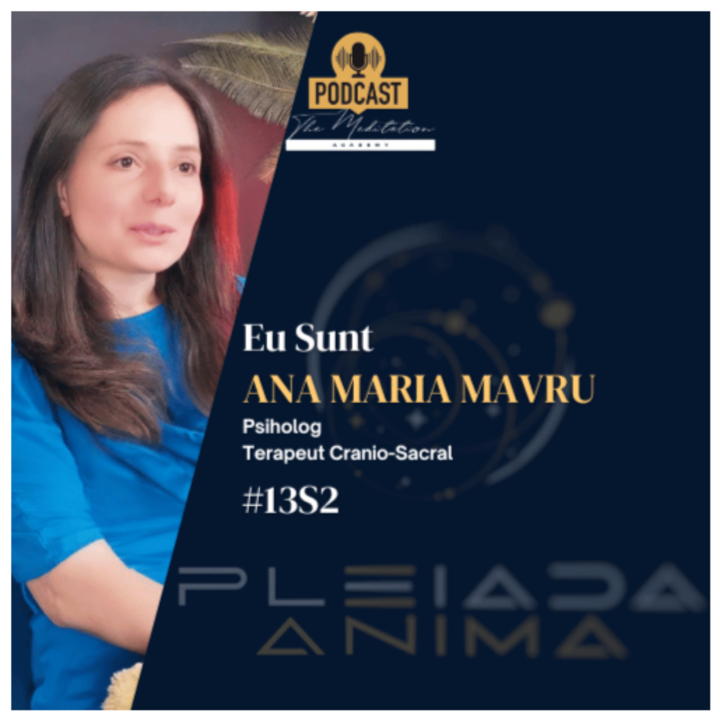 Psihologia conștientă – ANA MARIA MAVRU - răspunsuri către sufletul tău - Pleiada Anima #13s2 episode artwork
