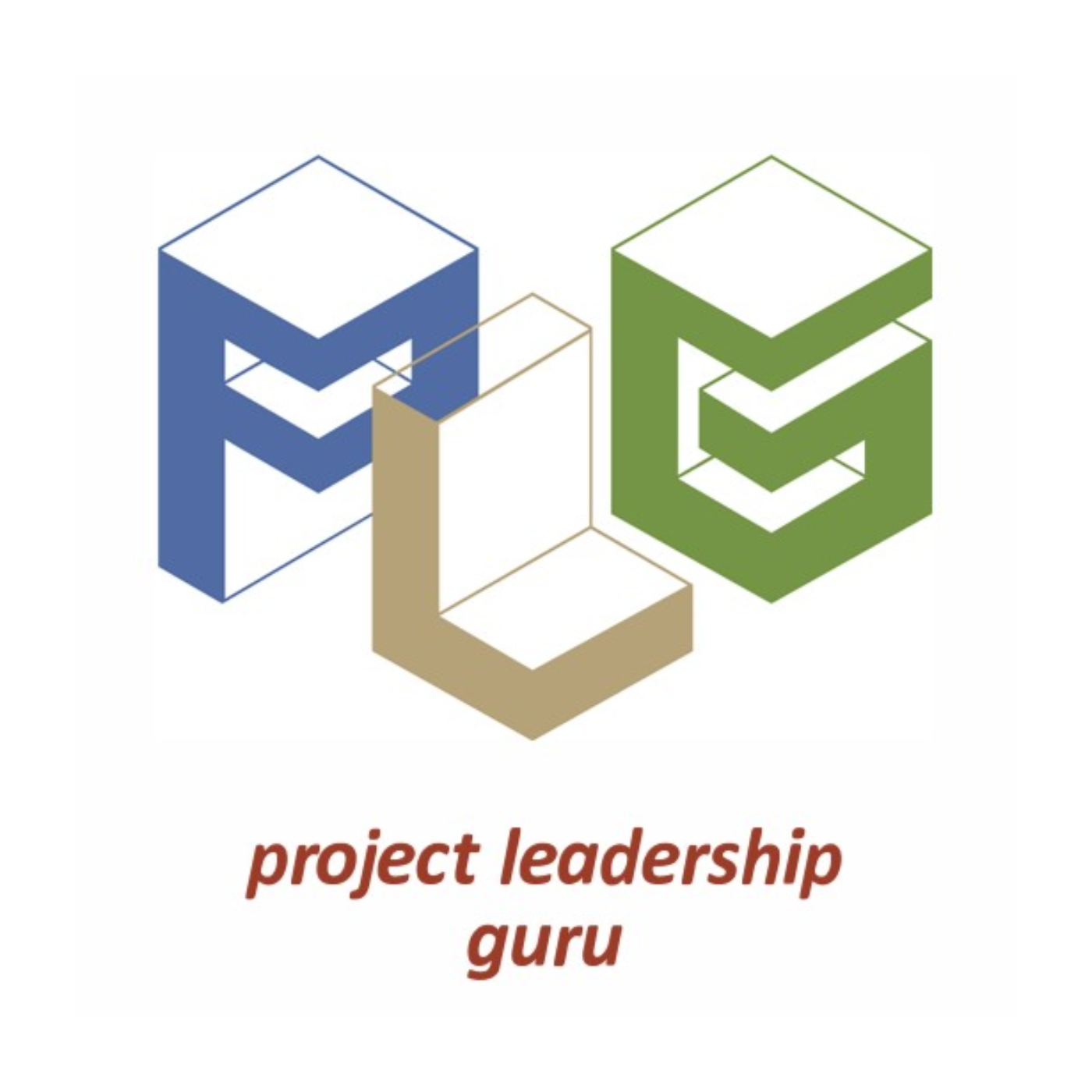 Project Leadership Guru™ with Ravi Bhatia