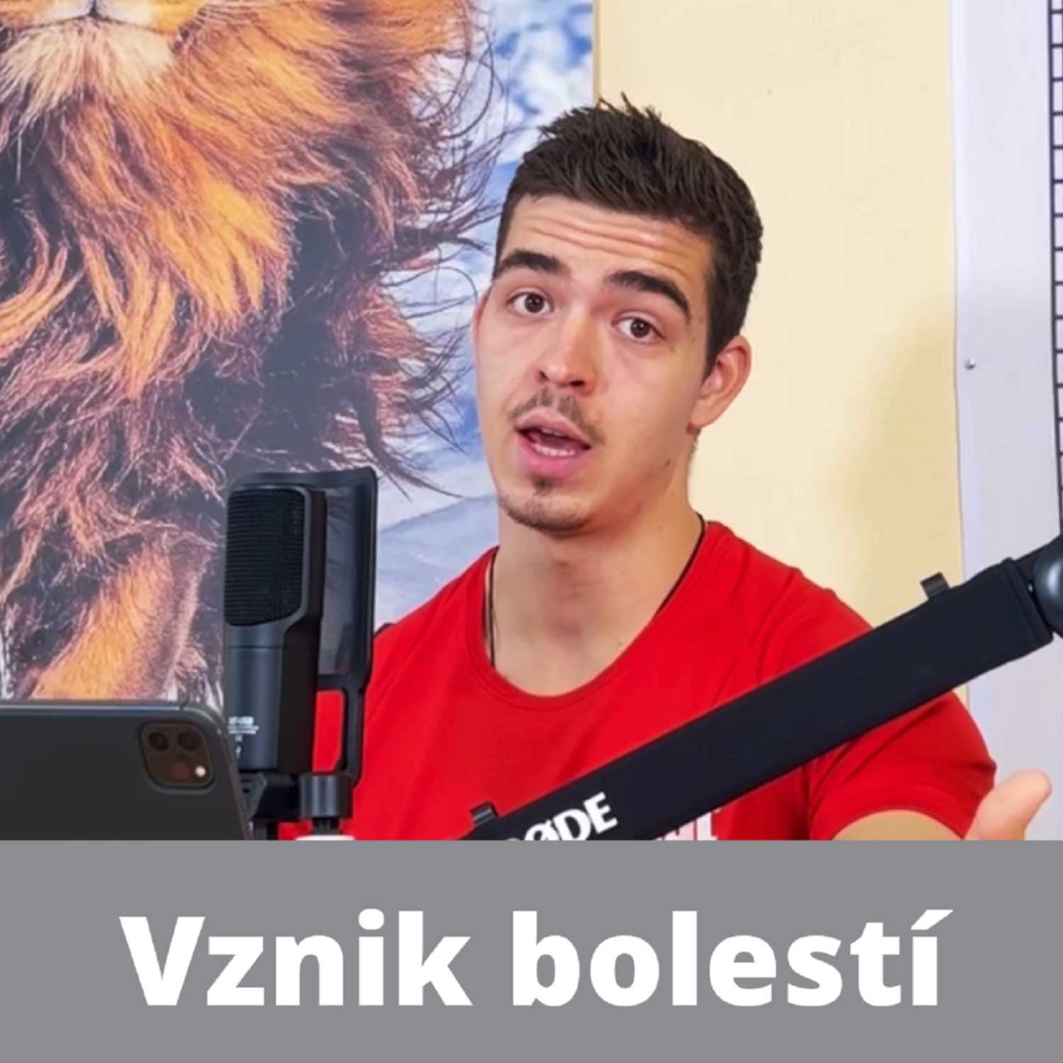 PLNÝ POTENCIÁL