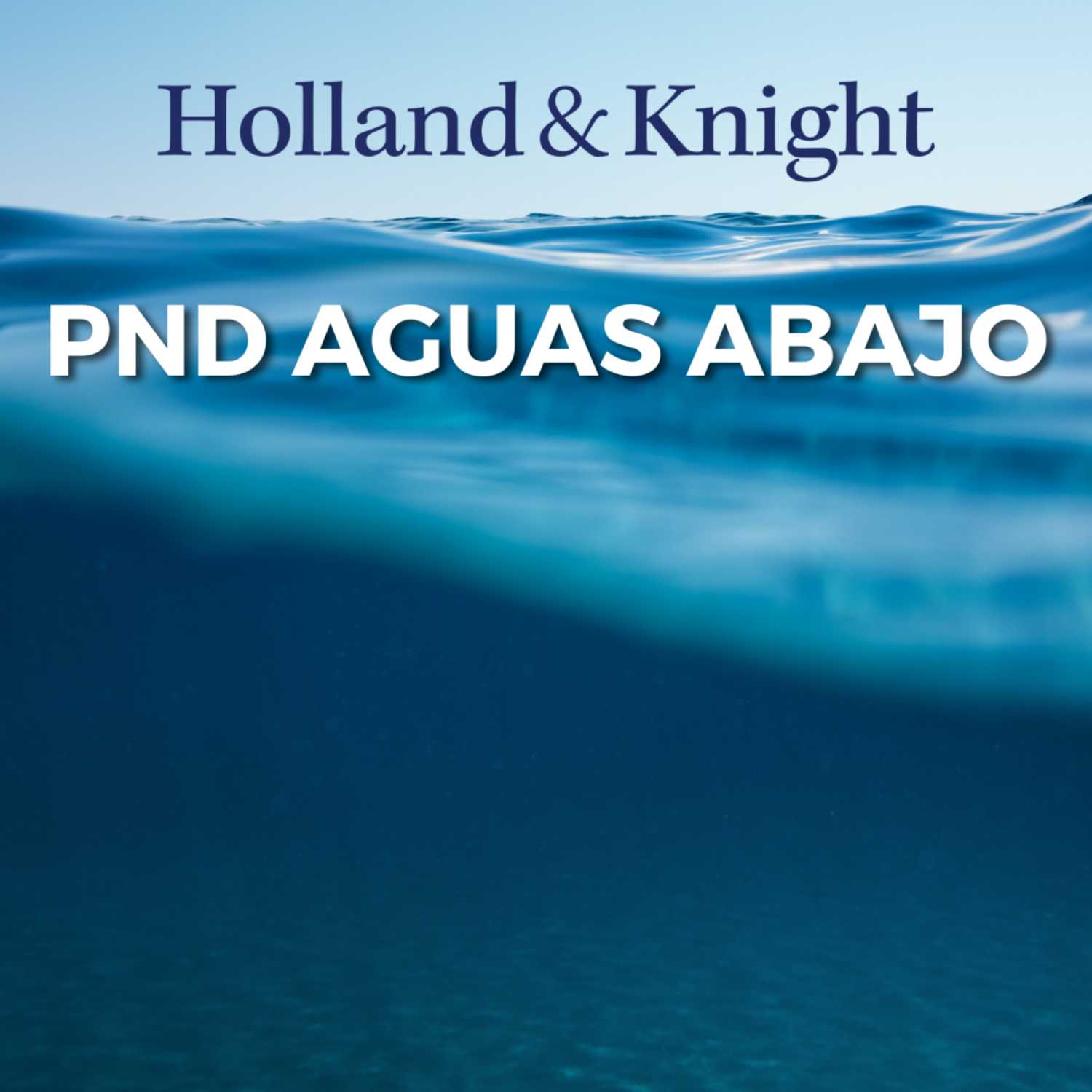 PND Aguas Abajo