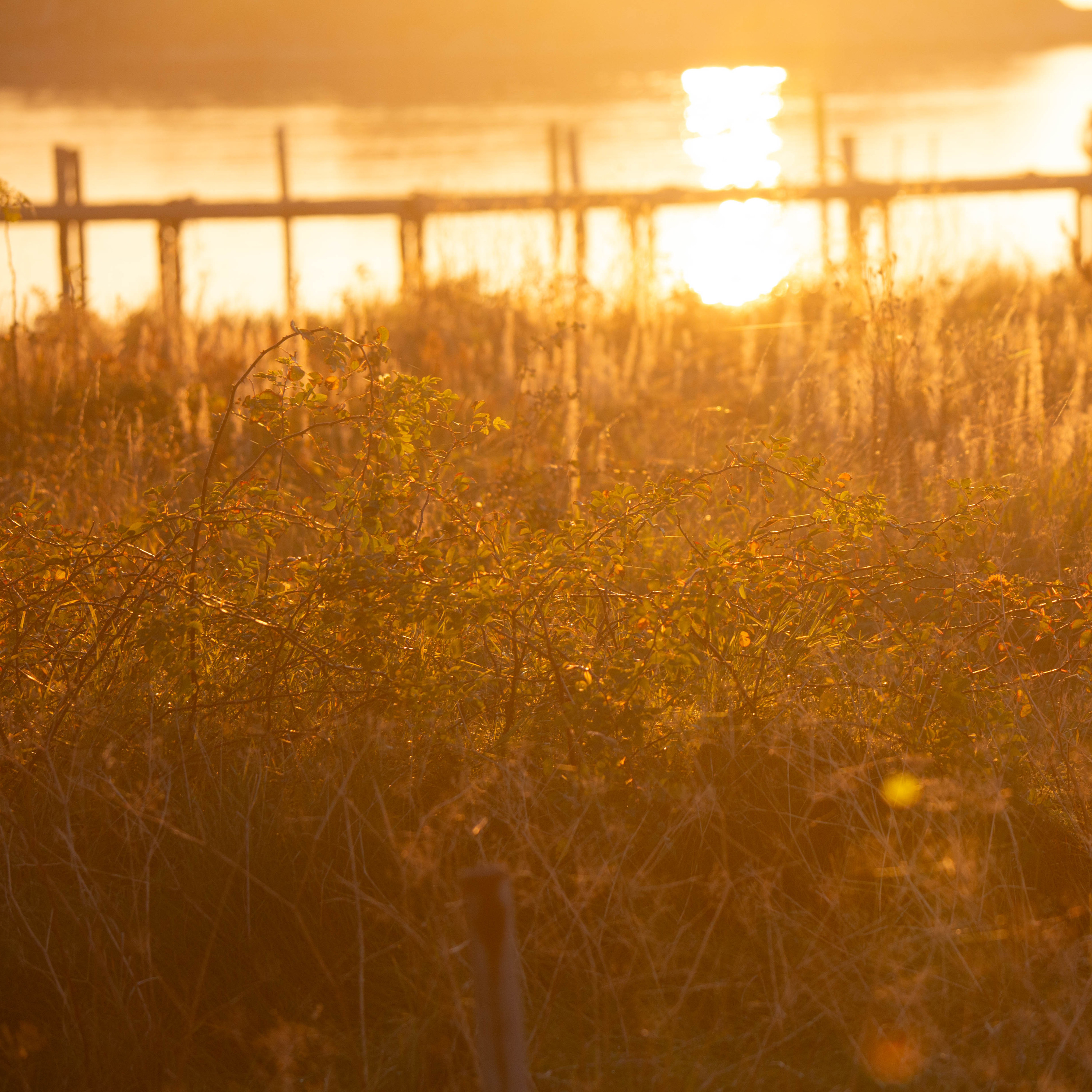 LBS Göteborg Podcast for a better day 