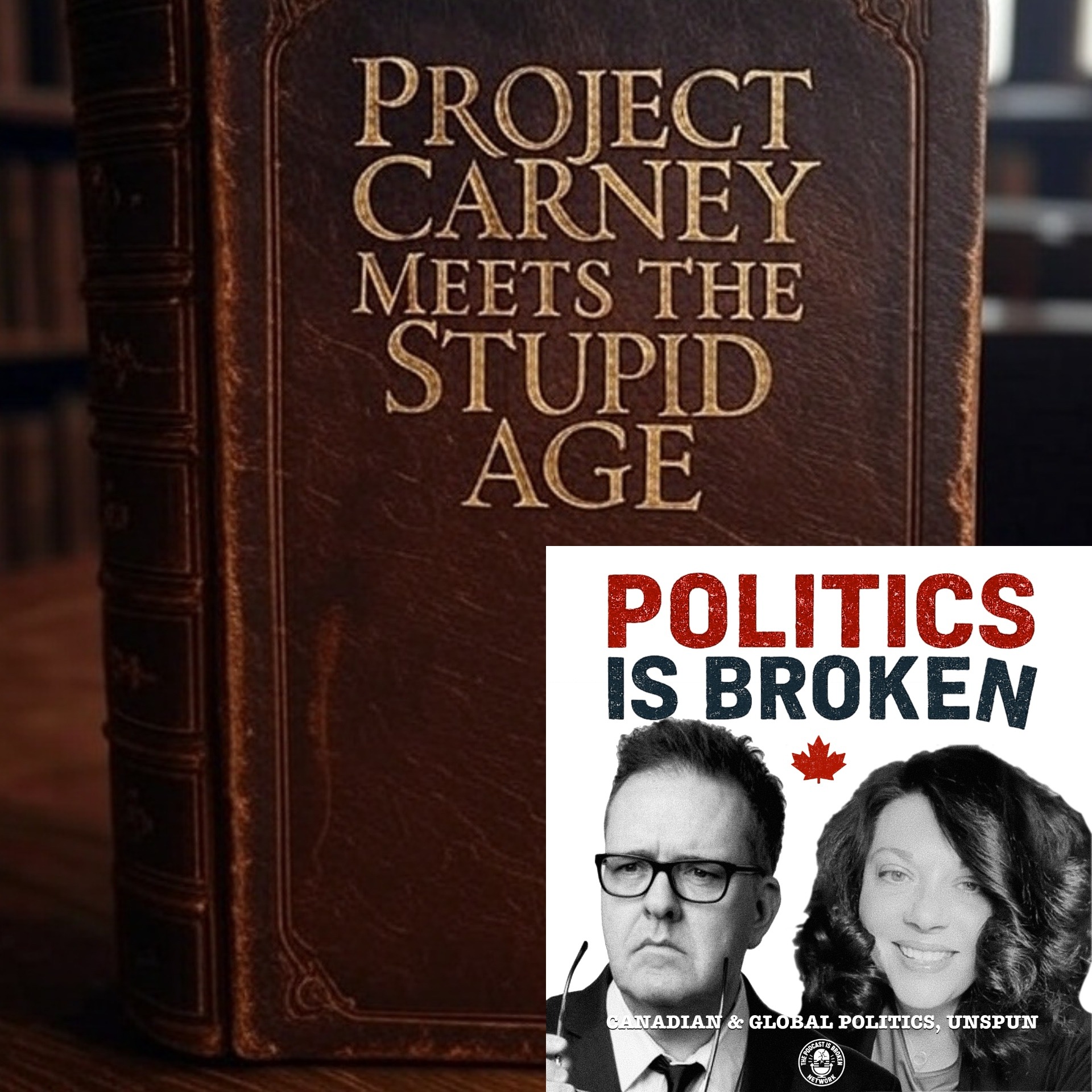 PROJECT CARNEY MEETS THE STUPID AGE
