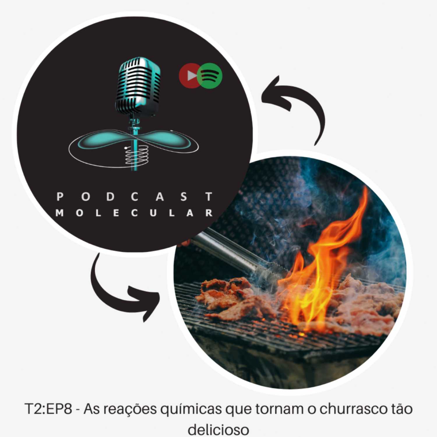 T2: EP8 – As reações químicas que tornam o churrasco tão delicioso