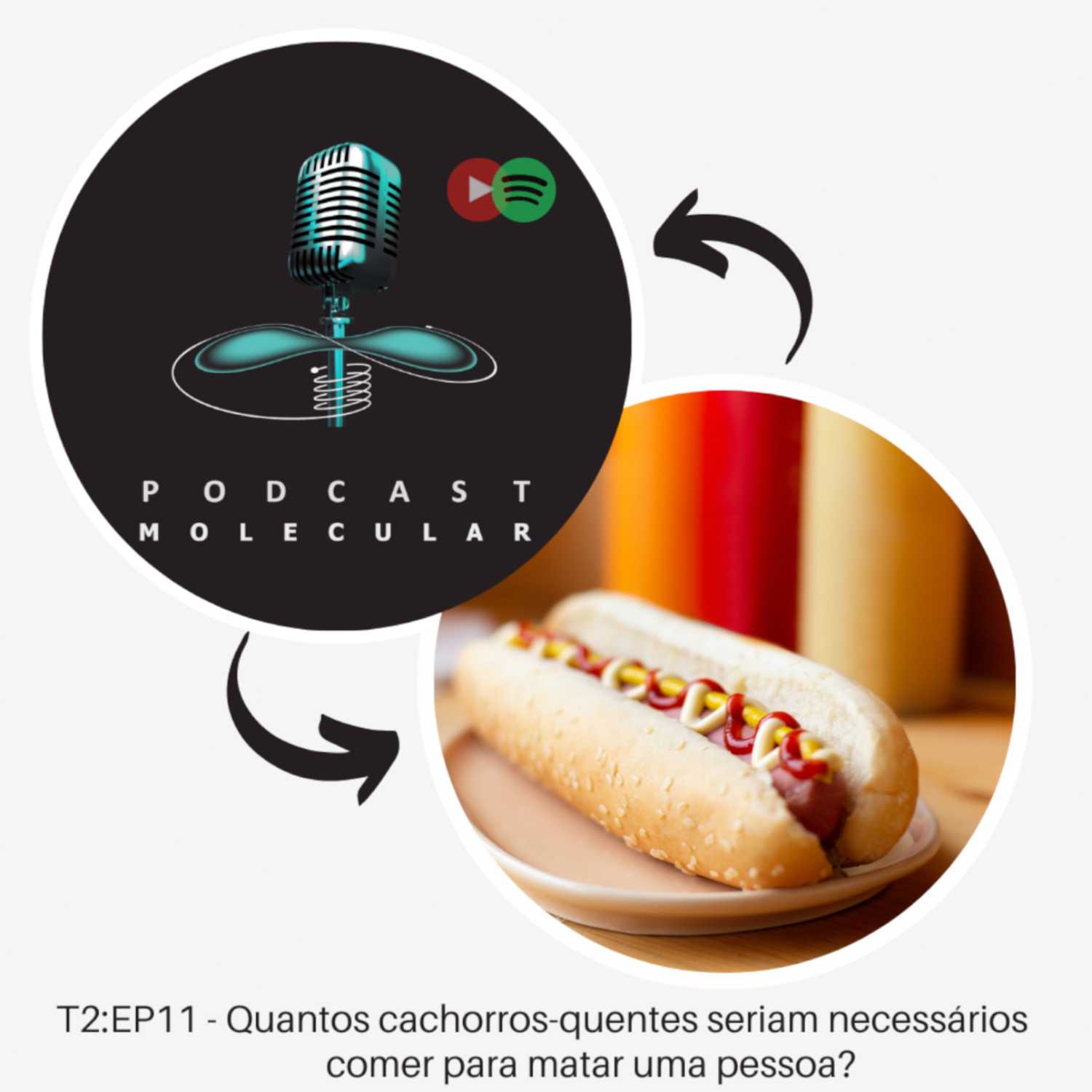 T2: EP11 – Quantos cachorros-quentes seriam necessários comer para matar uma pessoa?