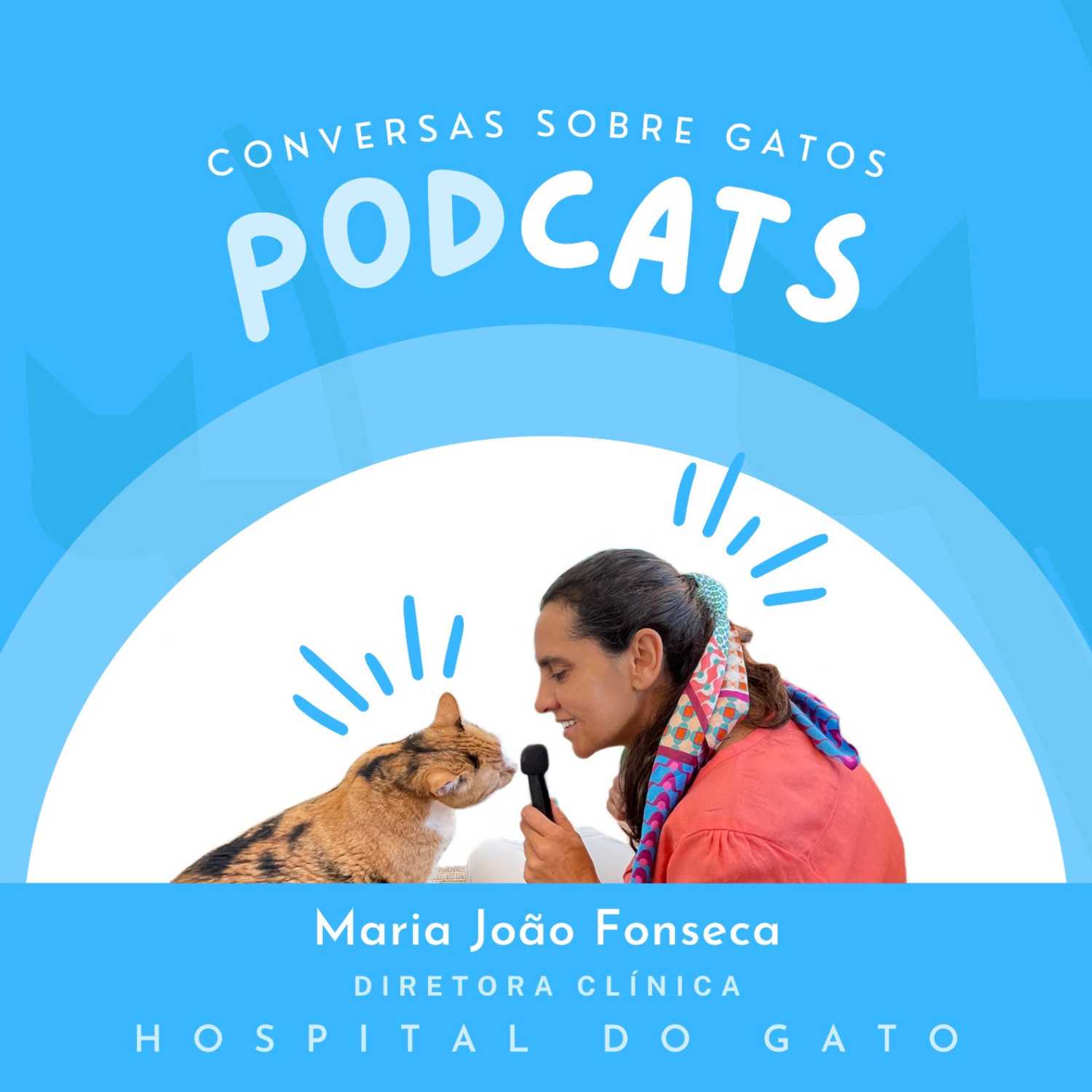 Grupo Hospital do Gato - Conversas sobre GATOS