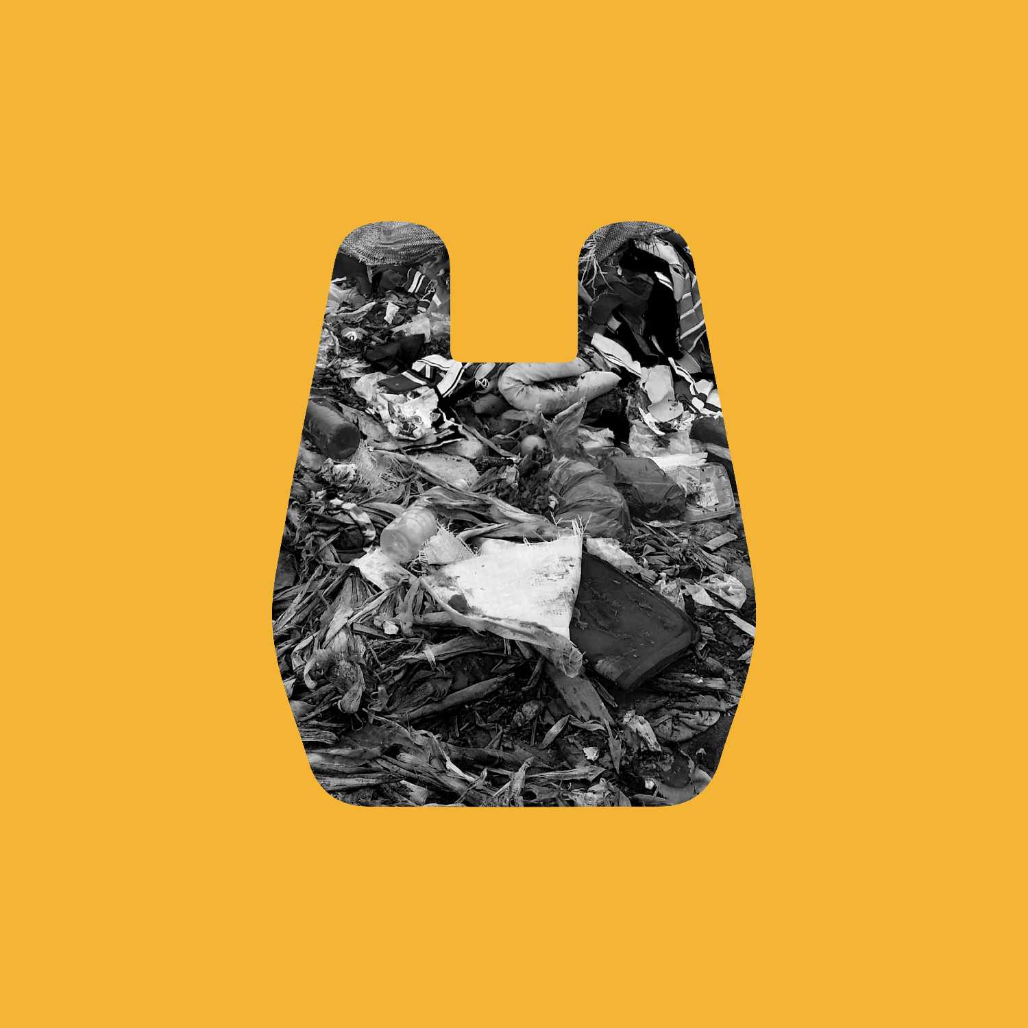 PODWASTE