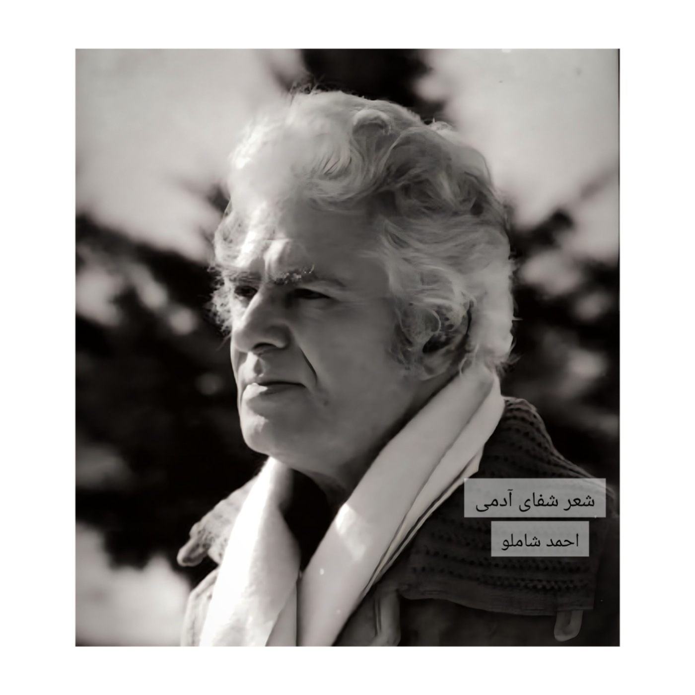 احمد شاملو، صبوحی