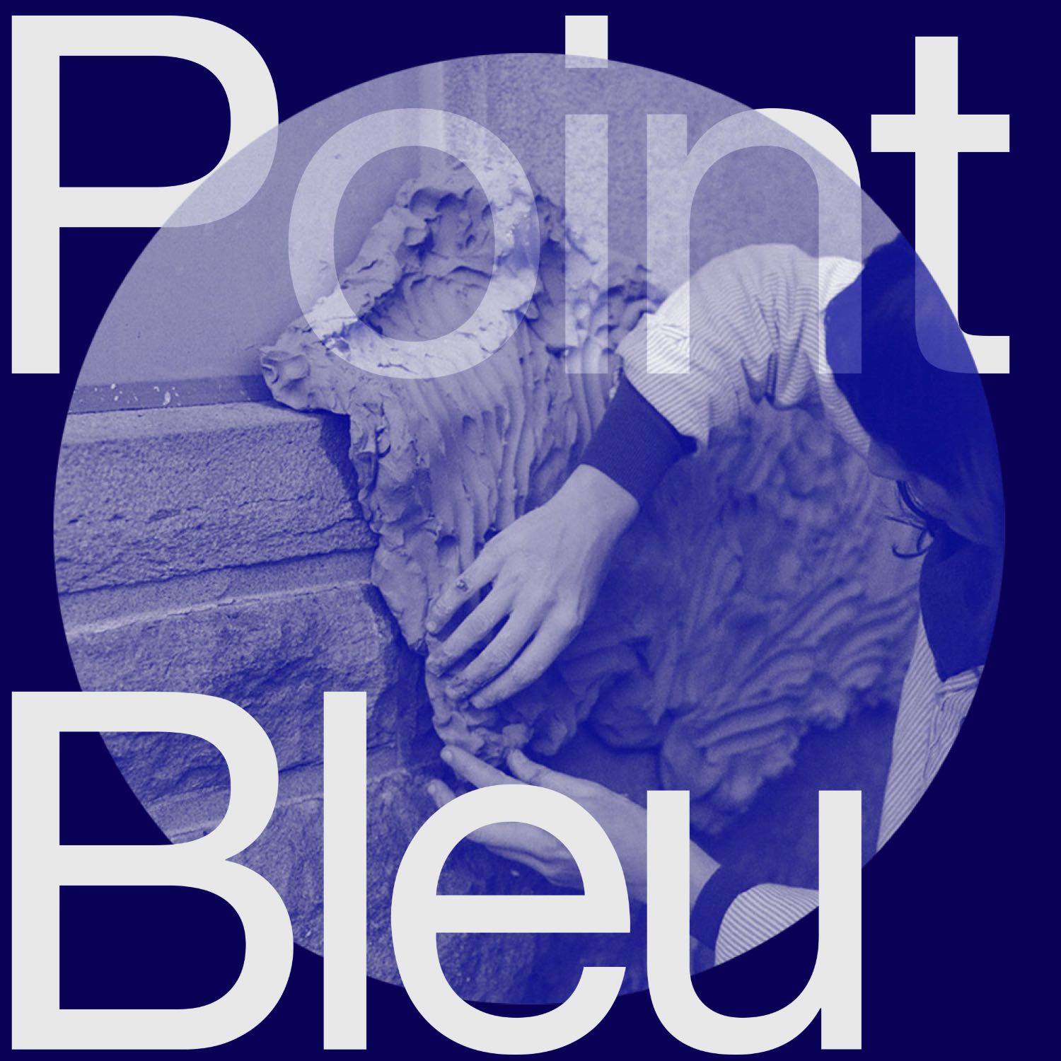 Point Bleu