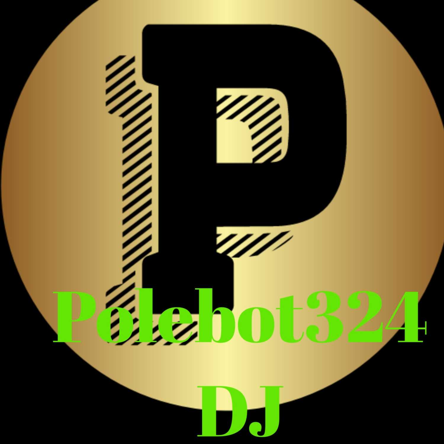 polebot324DJ