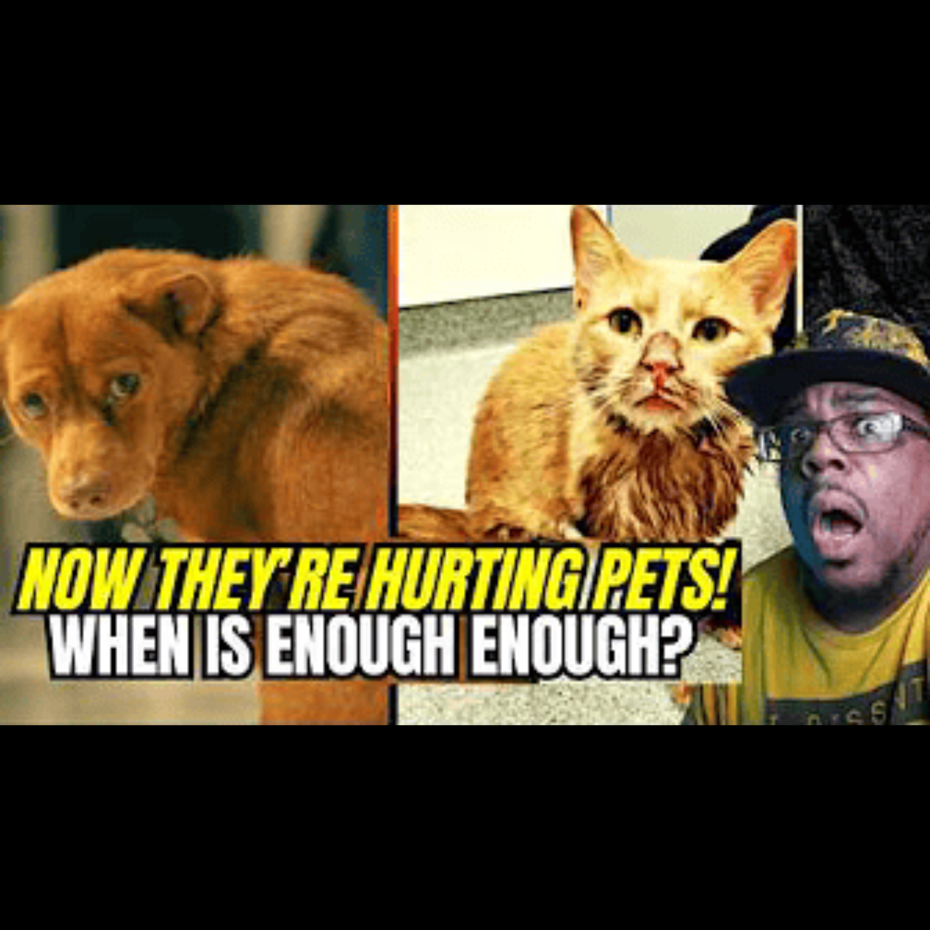 DISTURBING: Who's Surprised That ICE Abandons & Hurts Animals 😡🐾 When Kristi Noam Is In Charge! episode artwork