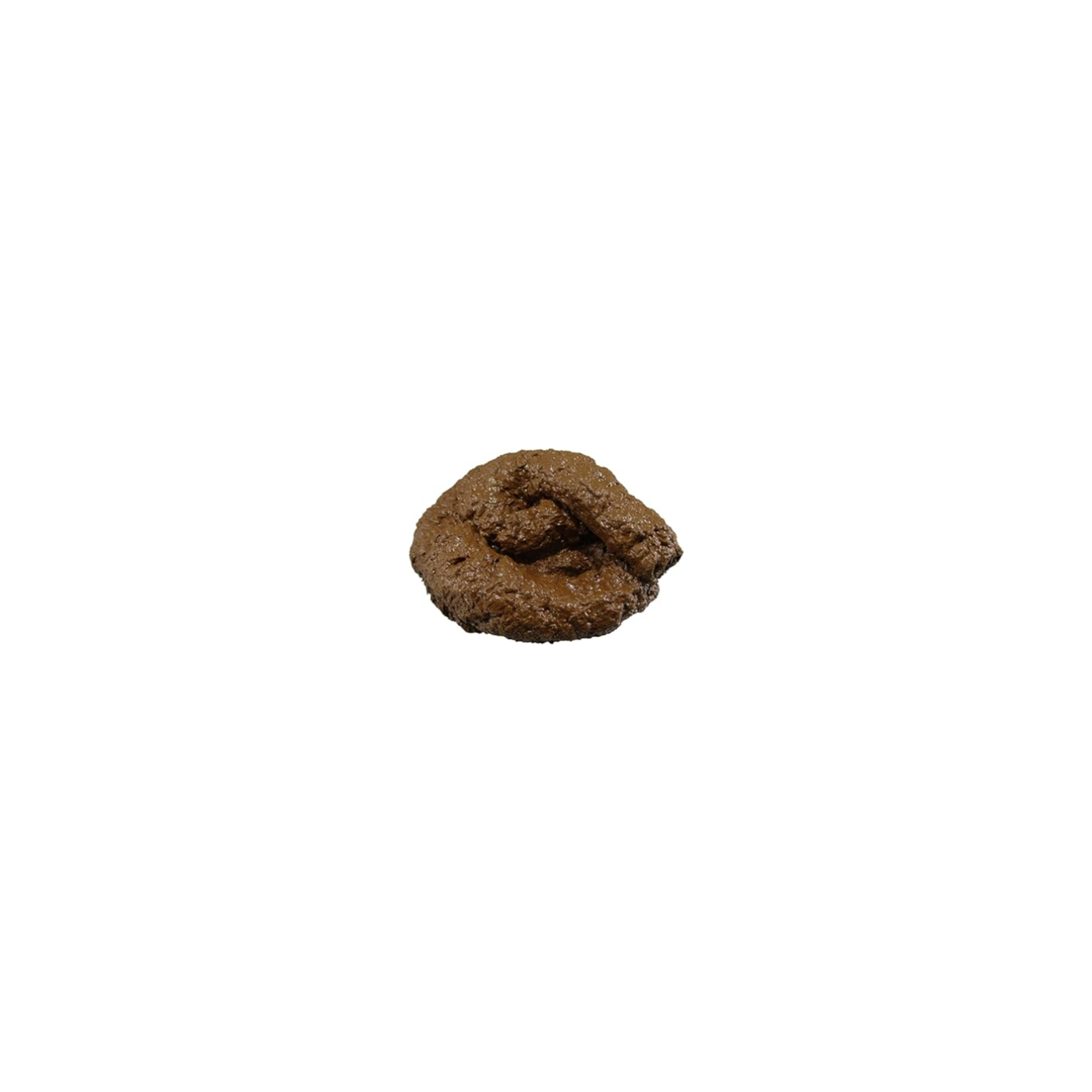 poo