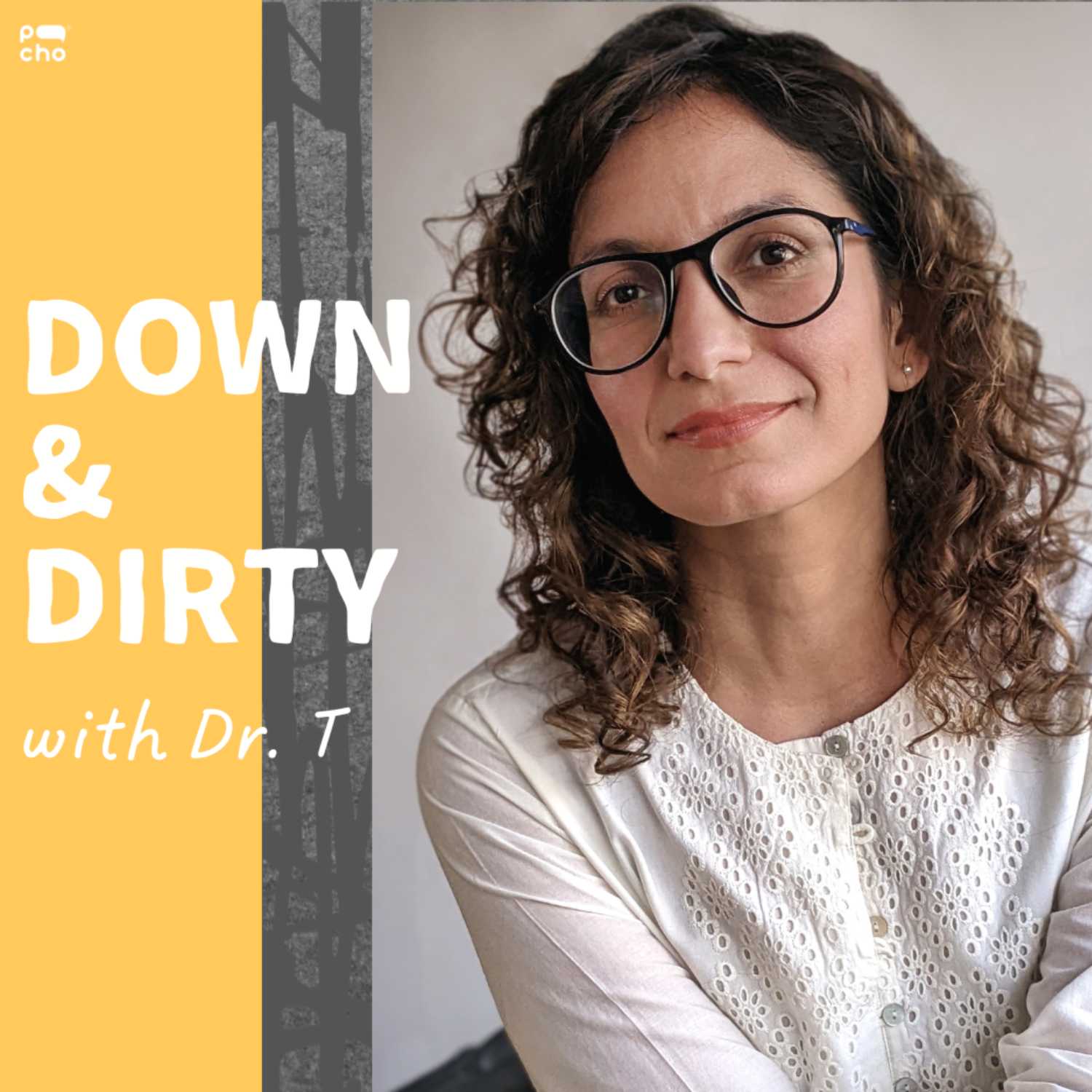 Interviews with Power Users on their Favorite Tools podcast artwork